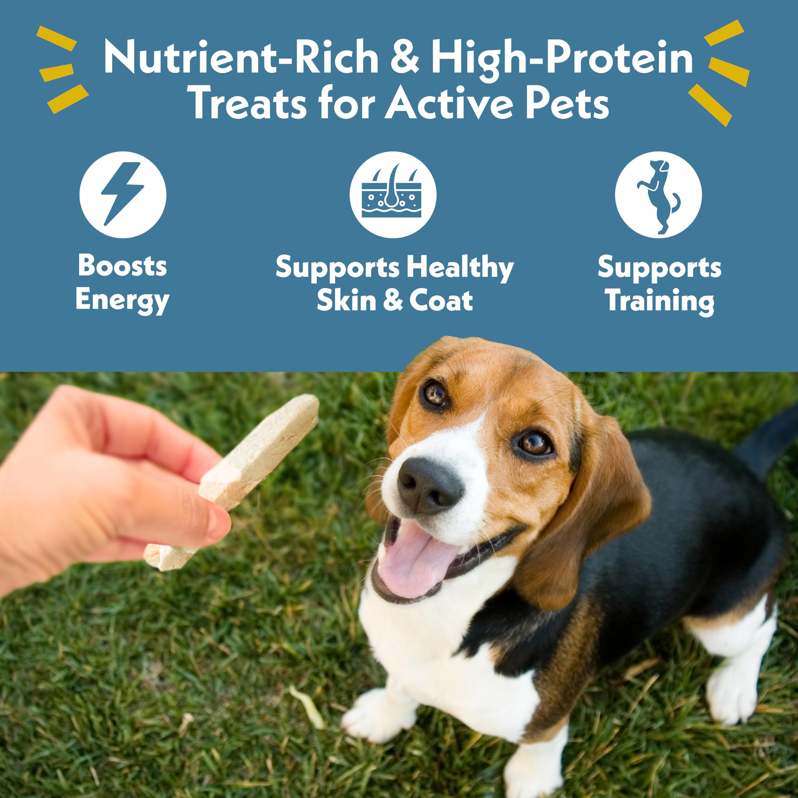 Fresh Is Best Freeze Dried Dog Treats - Raw Freeze Dried Chicken Breast for Dogs & Cats - Healthy Dog Training Treats in Resealable Zipper Bag - High-Protein Single Ingredient - Made in the USA