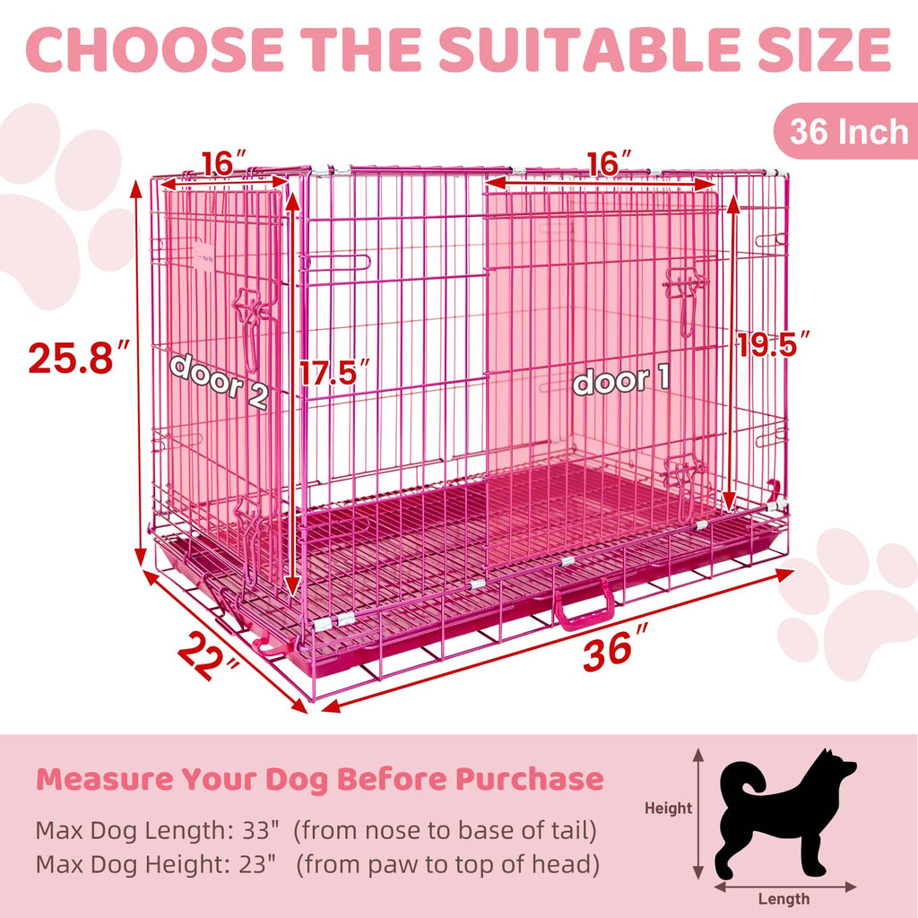 HOMEY PET 24" Gold Color Folding Design Dog Crate Puppy Ertra Small Breed Dog Kennels with Removable Floor Grid and Pull Out Tray, Dog Cage Copper Gold Finish