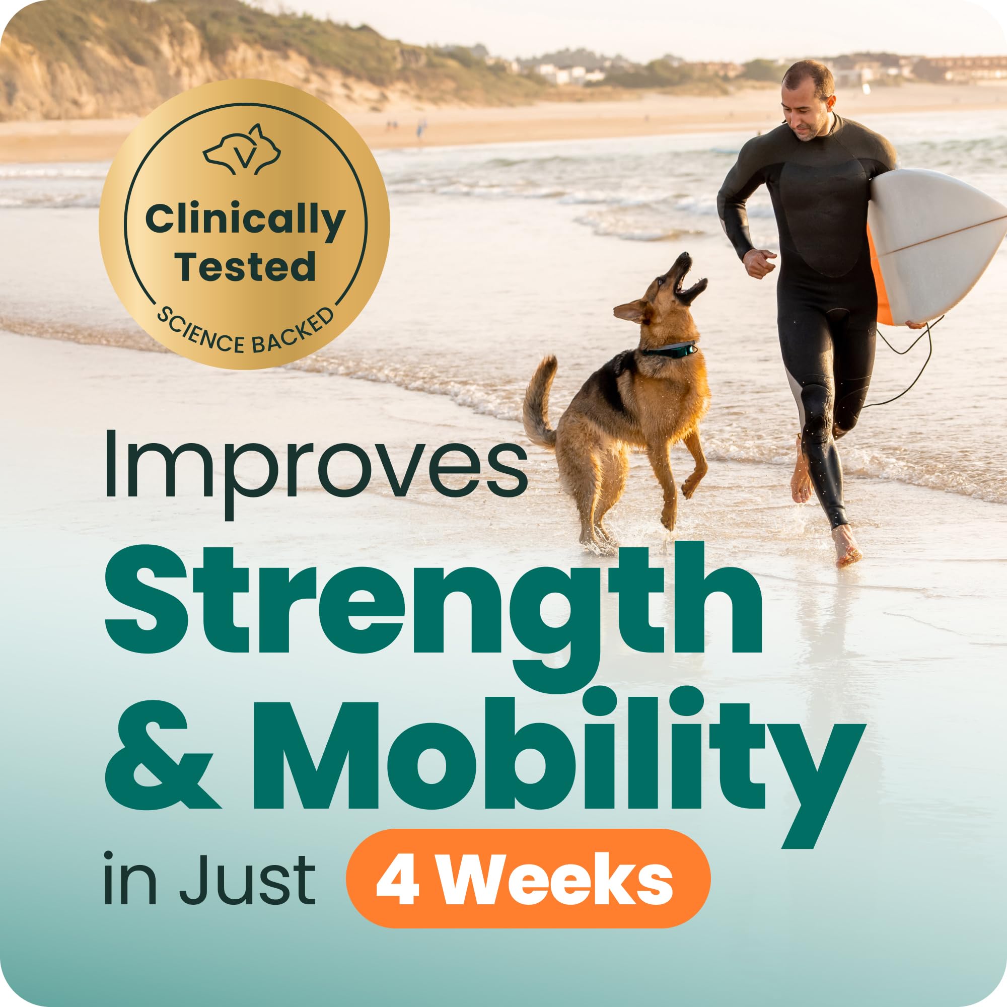 VetriScience Glycoflex 3 Vet Strength Glucosamine for Dogs Hip and Joint Supplement - Clinically Proven Mobility and Joint Supplement with MSM, DMG and Green Lipped Sea Mussel, Chicken, 60 Chews