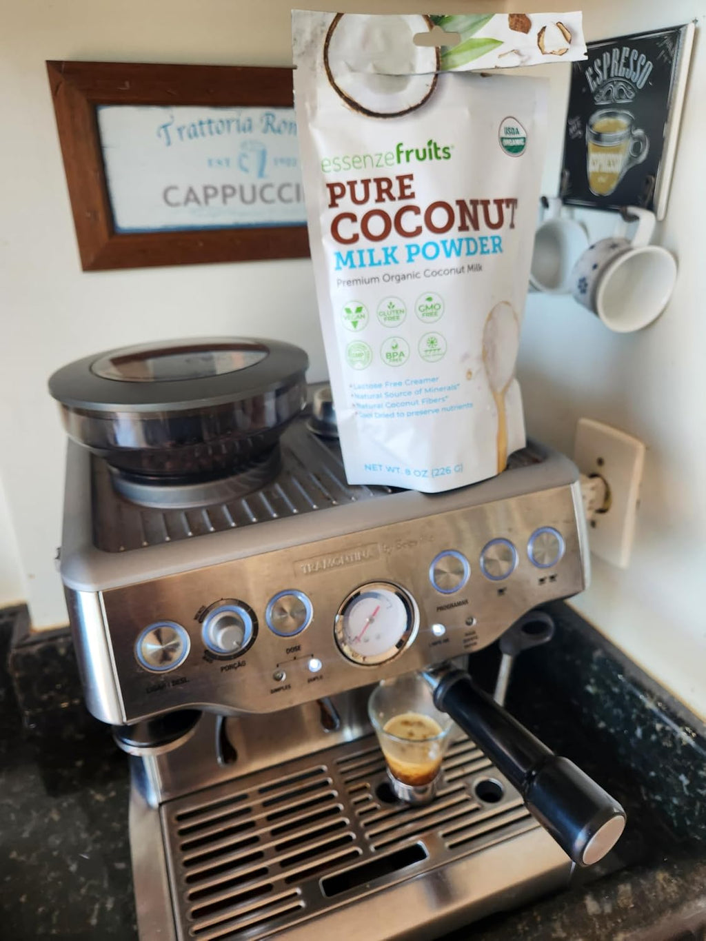 Essenzefruits Pure Organic Coconut Milk Powder - Premium Maltodextrin Free, No Sugar Added, Dairy Free, USDA Organic, Vegan, Keto & Paleo Friendly, No Additives, Pre Biotic Fibers, 27 Servings - 8 Oz