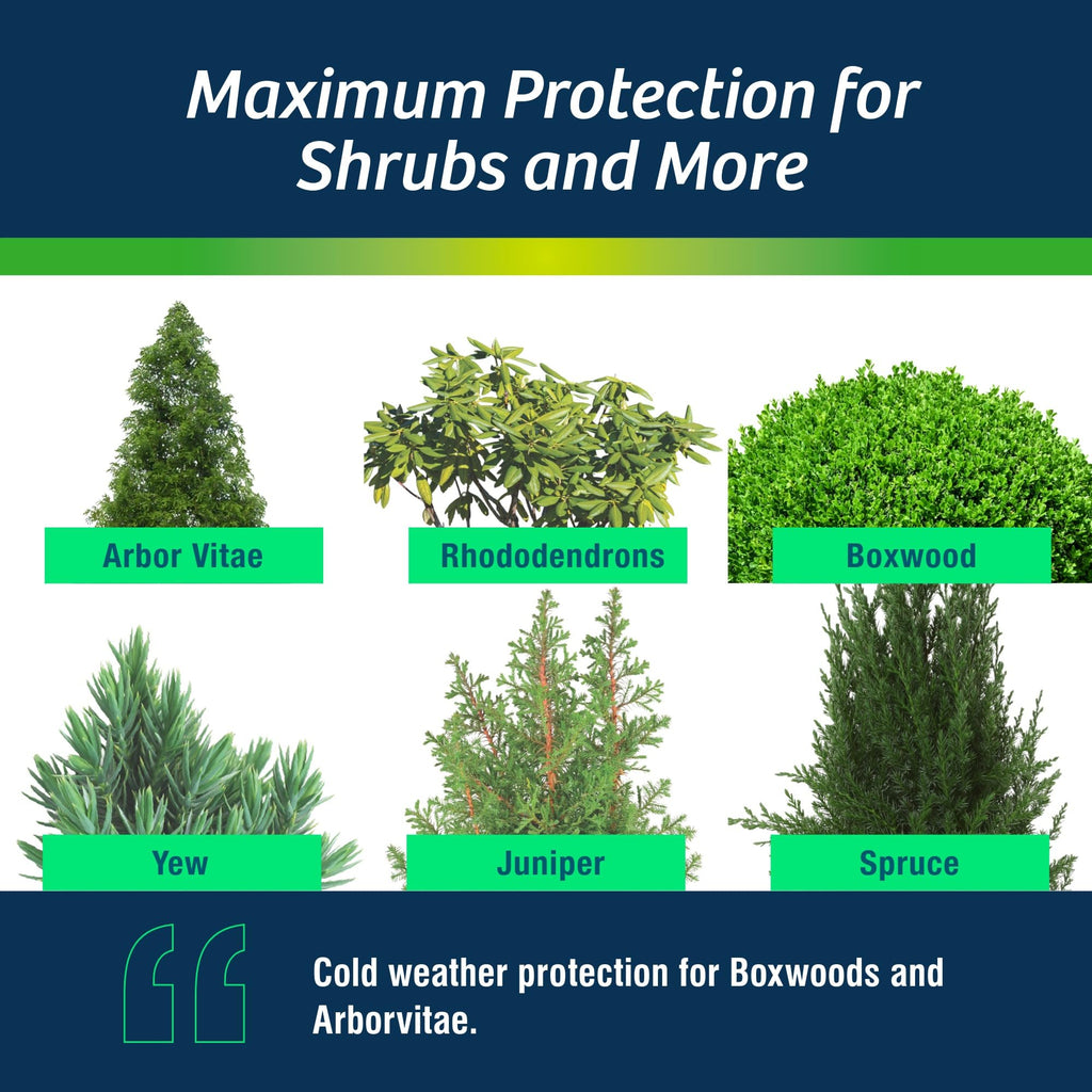 Wilt-Pruf® Concentrate | Protect Against Winter Damage, Drought, and Stress | Just Spray & Let Dry | Locks in Moisture w/Clear Foliar Film | Professional-Grade & Trusted | Replaces Burlap | (1 Gal)
