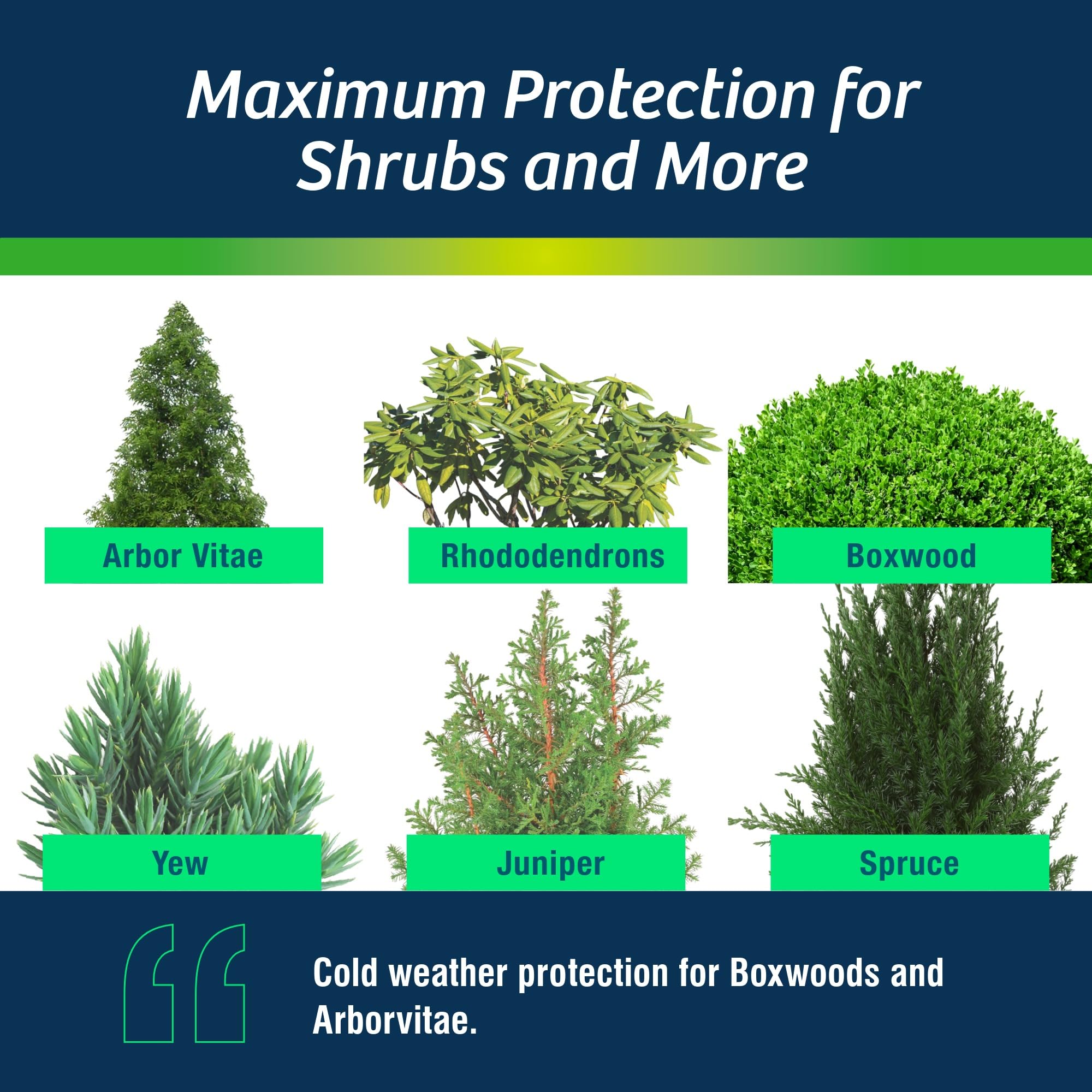 Wilt-Pruf® Concentrate | Protect Against Winter Damage, Drought, and Stress | Just Spray & Let Dry | Locks in Moisture w/Clear Foliar Film | Professional-Grade & Trusted | Replaces Burlap | (1 Gal)