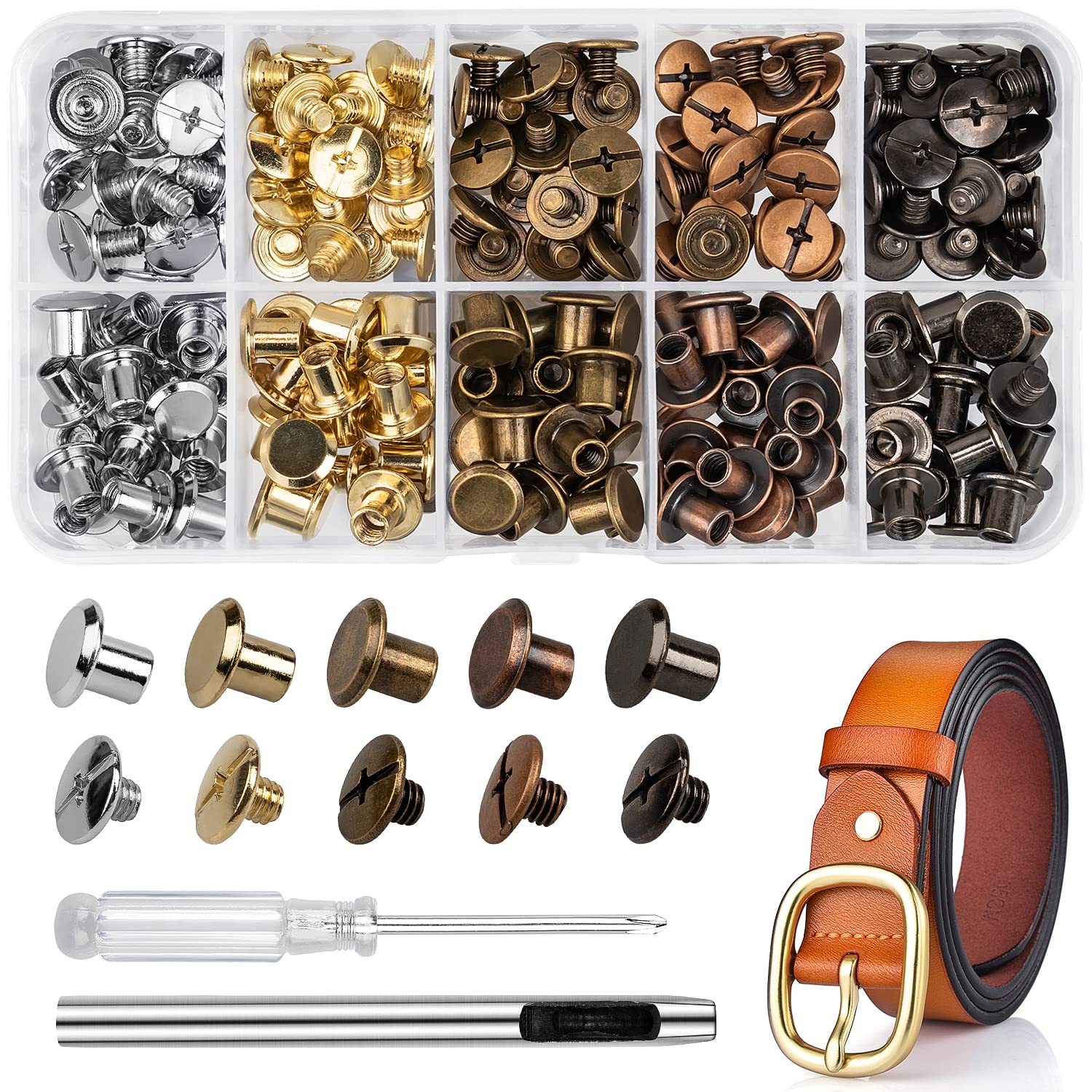 100 Sets Chicago Screws for Leather Crafting 7/20 Inch, 5 Colors of Rivets for Leather, Chicago Screws for DIY Leathercraft (Silver, Light Gold, Bronze, Antique Copper, GunMetel)