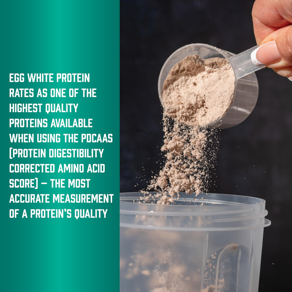 NOW Foods Sports Nutrition, Egg White Protein, 20 g With BCAAs, Creamy Chocolate Powder, 1.5-Pound