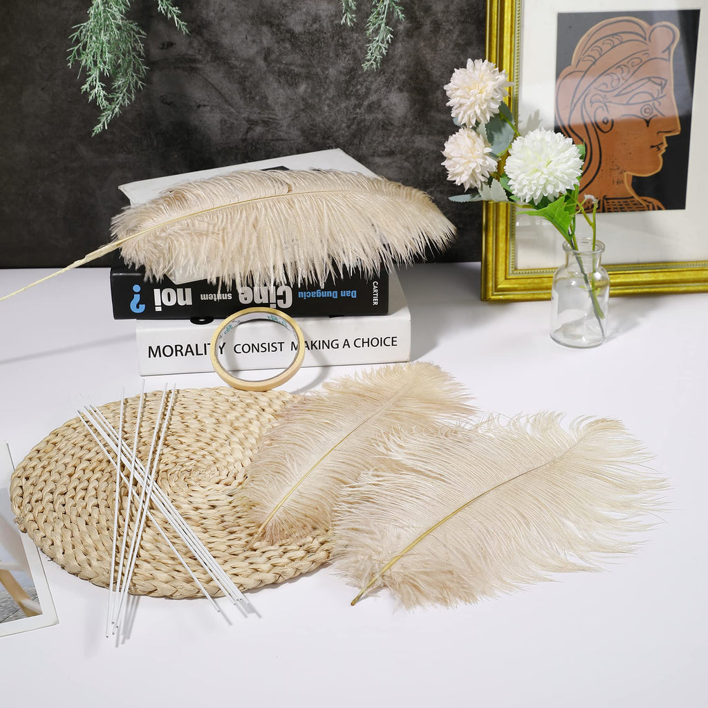 Ballinger Black Ostrich Feathers Bulk - Making Kit 12Pcs 16-18inch Large Ostrich Feathers for Floral Arrangement, Vase, Wedding Party Centerpieces and Halloween Home Decor