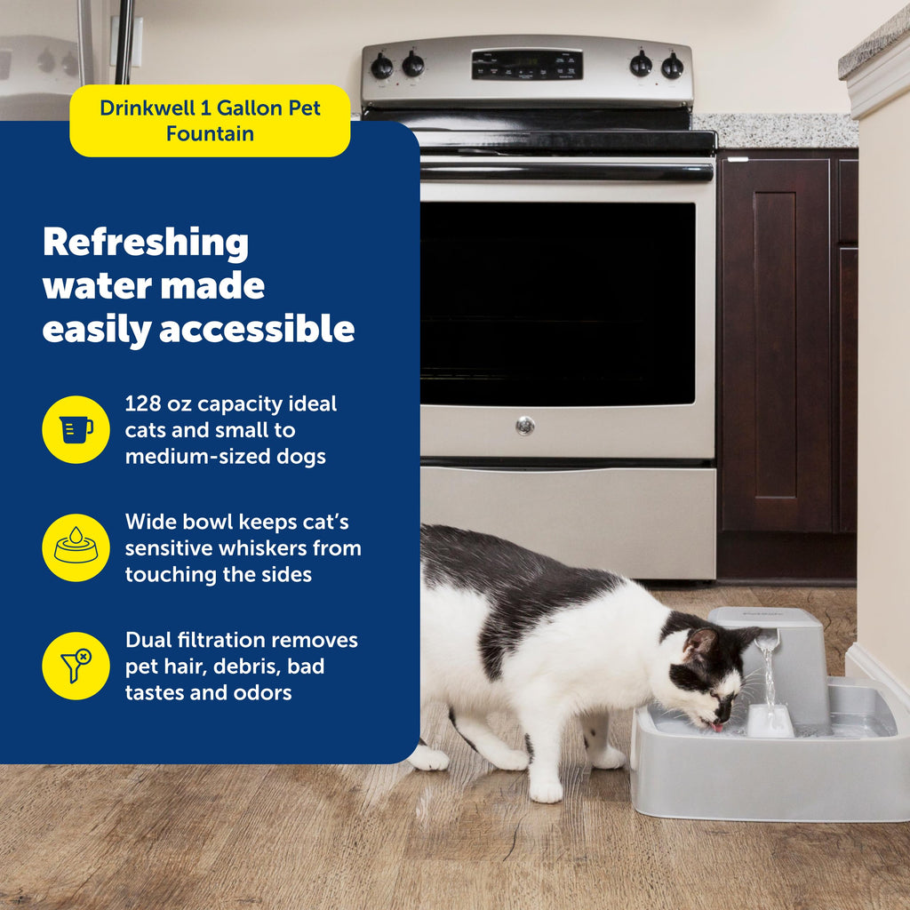PetSafe Oasys 1 Gallon (128 Ounce) Pet Fountain - Cat or Small to Medium Breed Dog Water Fountain - Dishwasher Safe Filtered Water Dispenser with Flow Control - Filters Included - Easy to Clean