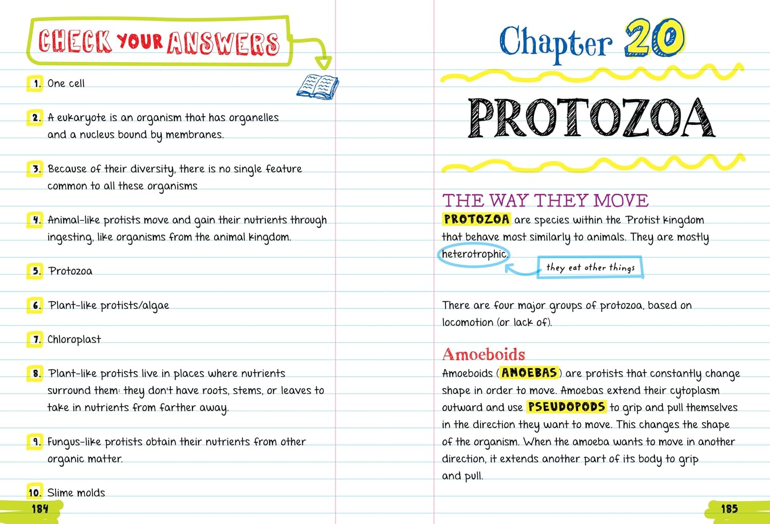Everything You Need to Ace Biology in One Big Fat Notebook