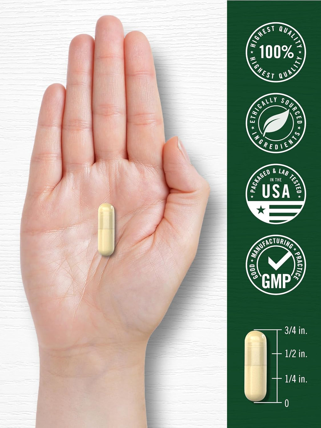 Carlyle Bitter Melon Complex | 200 Capsules | Traditional Herbal Extract Supplement | Non-GMO & Gluten Free