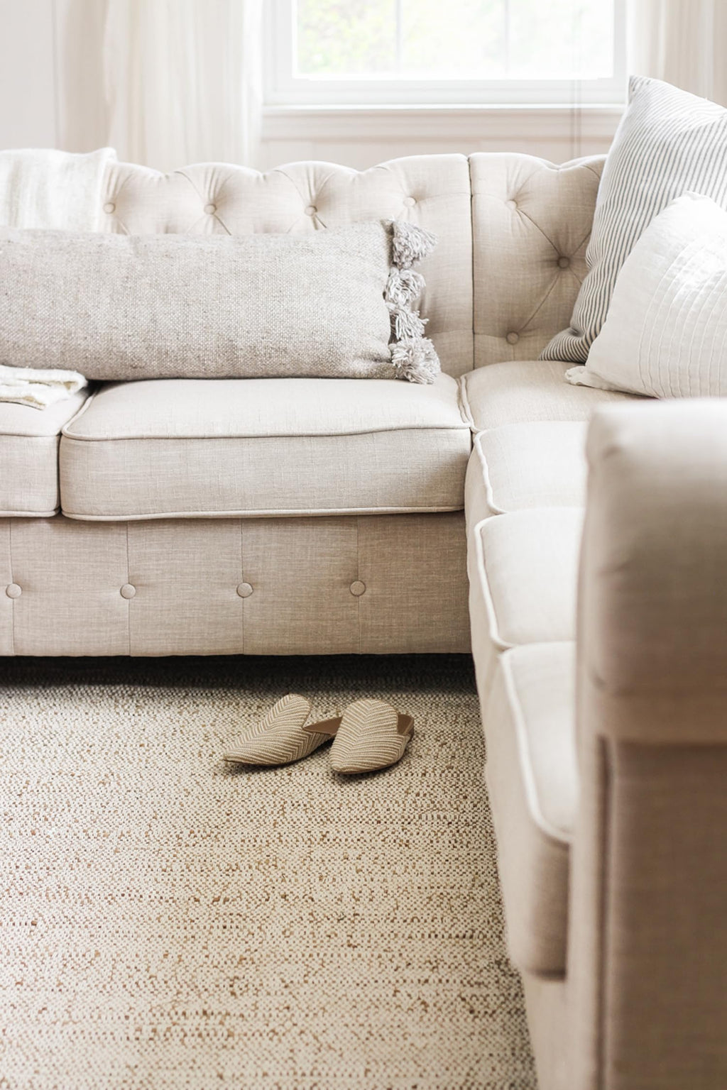 FRELISH DECOR Handwoven Jute Cotton Area Rug- Natural Yarn- Contemporary Farmhouse Decor- Rustic Nautical Rugs for Bedroom Living Room/Entryway Doormat (2'x3')