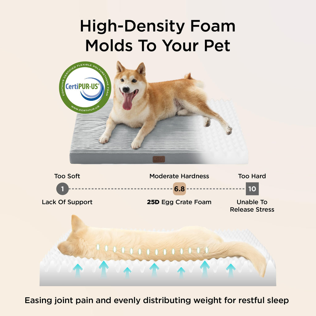 Bedsure ComfyFleece Dog Bed for Small Dogs - Orthopedic Pet Beds with Removable Washable Cover, NOT Waterproof Egg Crate Foam Puppy Mat, Suitable for Pet Up to 20 lbs, 23"x17"x2.8", NOT for Chewers