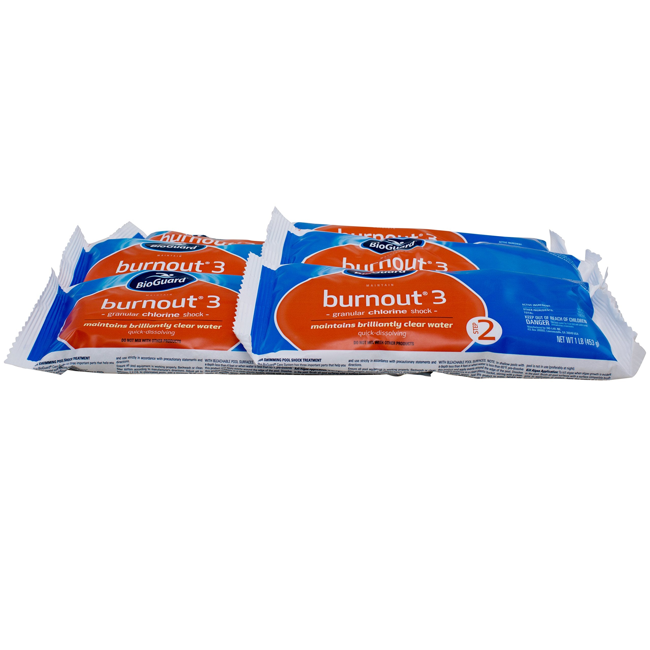 BioGuard Burnout 3, 1 lb, Quick Dissolving, Maintains Brilliantly Clear Water, Effective for Proper Pool Maintenance
