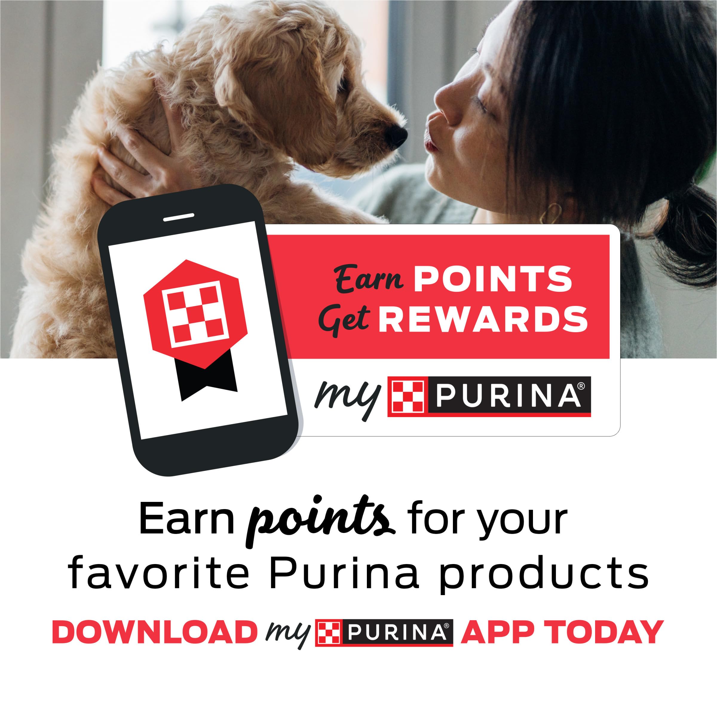Purina Beyond Chicken, Lamb and Spinach Ground Natural Grain Free Wet Dog Food with Added Vitamins and Minerals - (Pack of 12) 13 oz. Cans