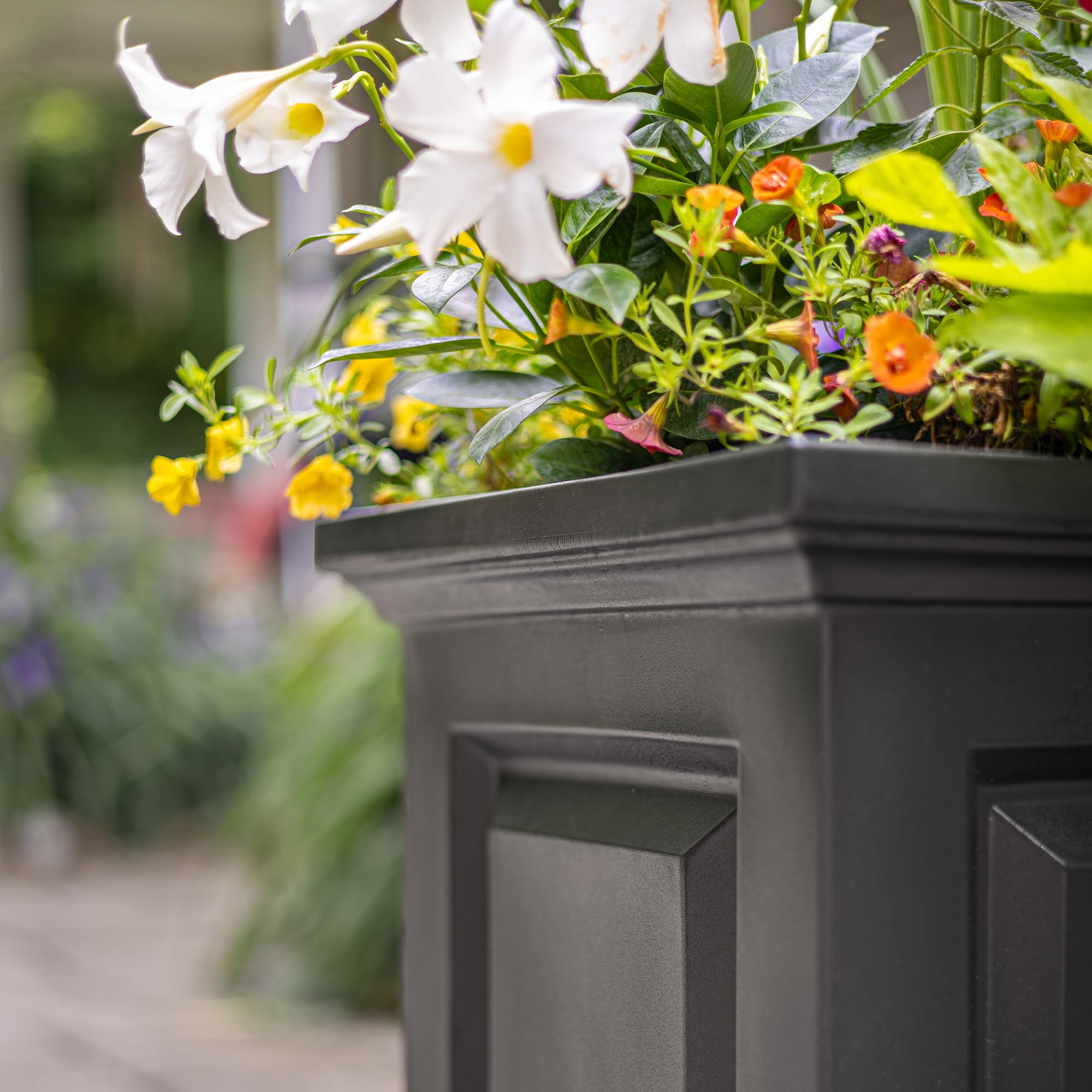 Mayne Nantucket 20-Inch Square Planter – Self-Watering, Weather-Resistant Planter for Flowers – Durable Outdoor Design for Patio, Porch, or Entryway