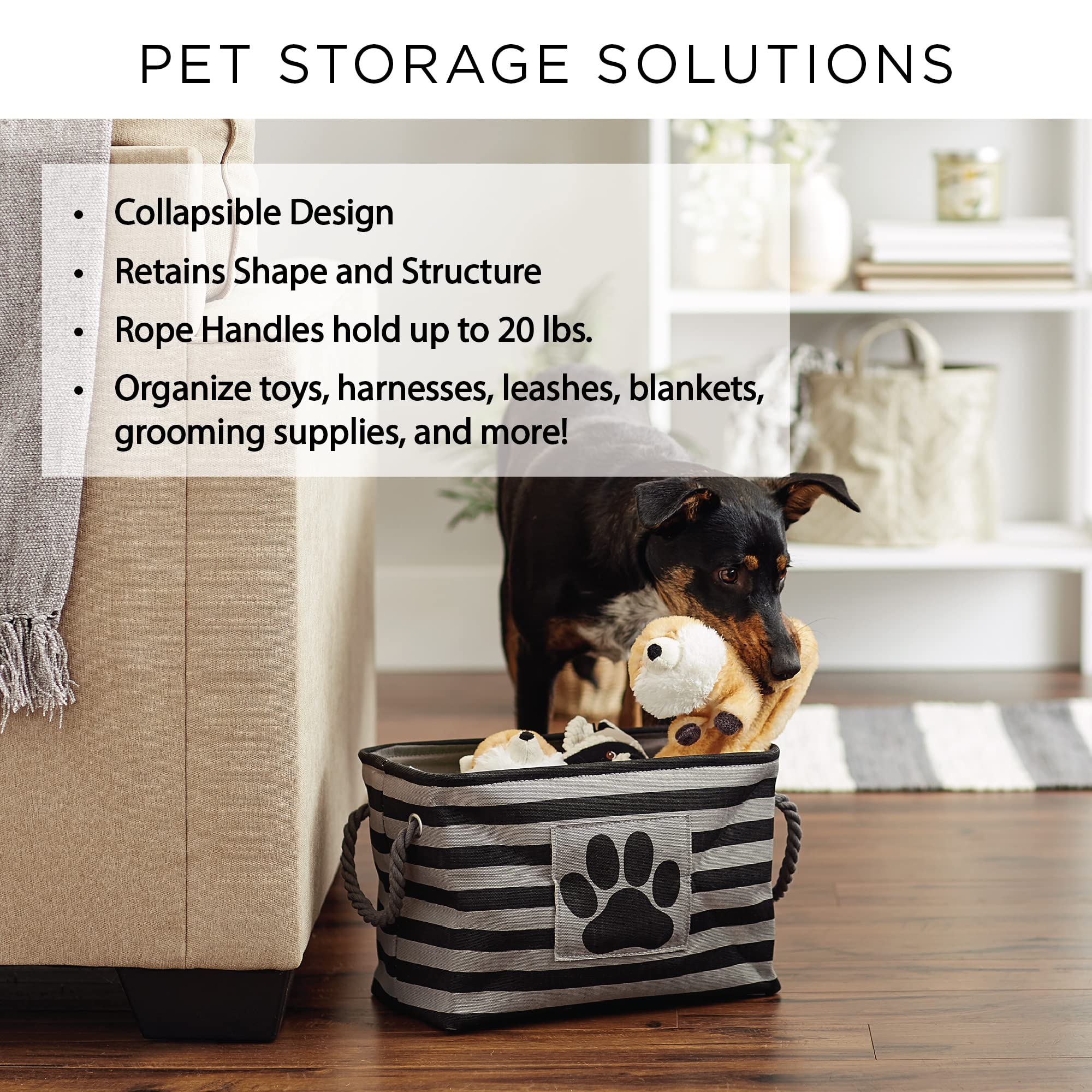 Bone Dry Pet Storage Collection Striped Paw Patch Bin, Aqua, Small Rectangle