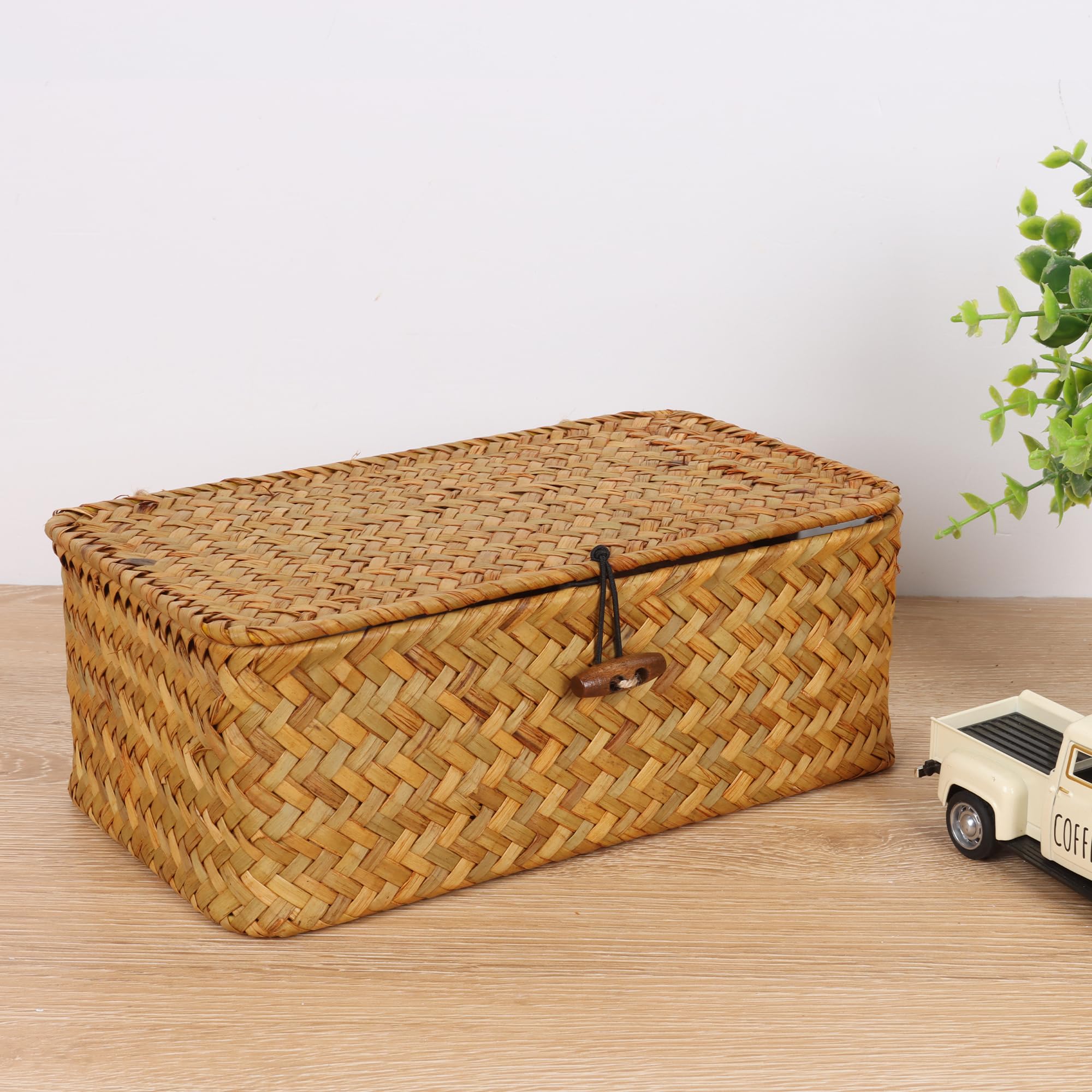 FEIALNDUO Wicker Shelf Baskets with Lid,Seagrass Storage Basket Bins Rectangular Handwoven Basket Boxes for Shelves Desktop Home Organizer (Coffee, X-Small)