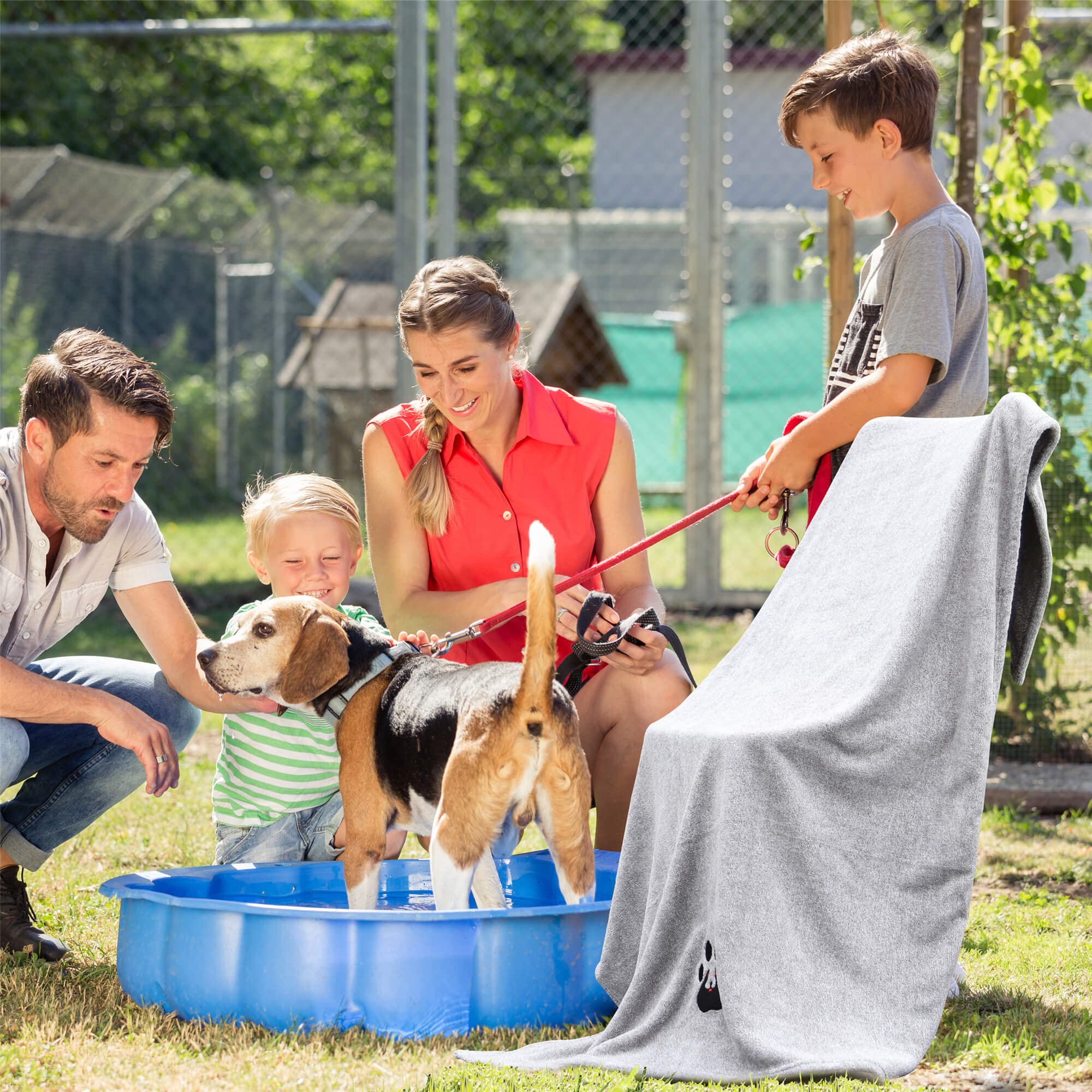 Dogvingpk Medium Dog Towel 4 Pack, Super Absorbent Soft Quick Drying Microfiber Pet Bath Towels for Medium & Small Dogs (M-36" * 28", 2Grey and 2Brown)