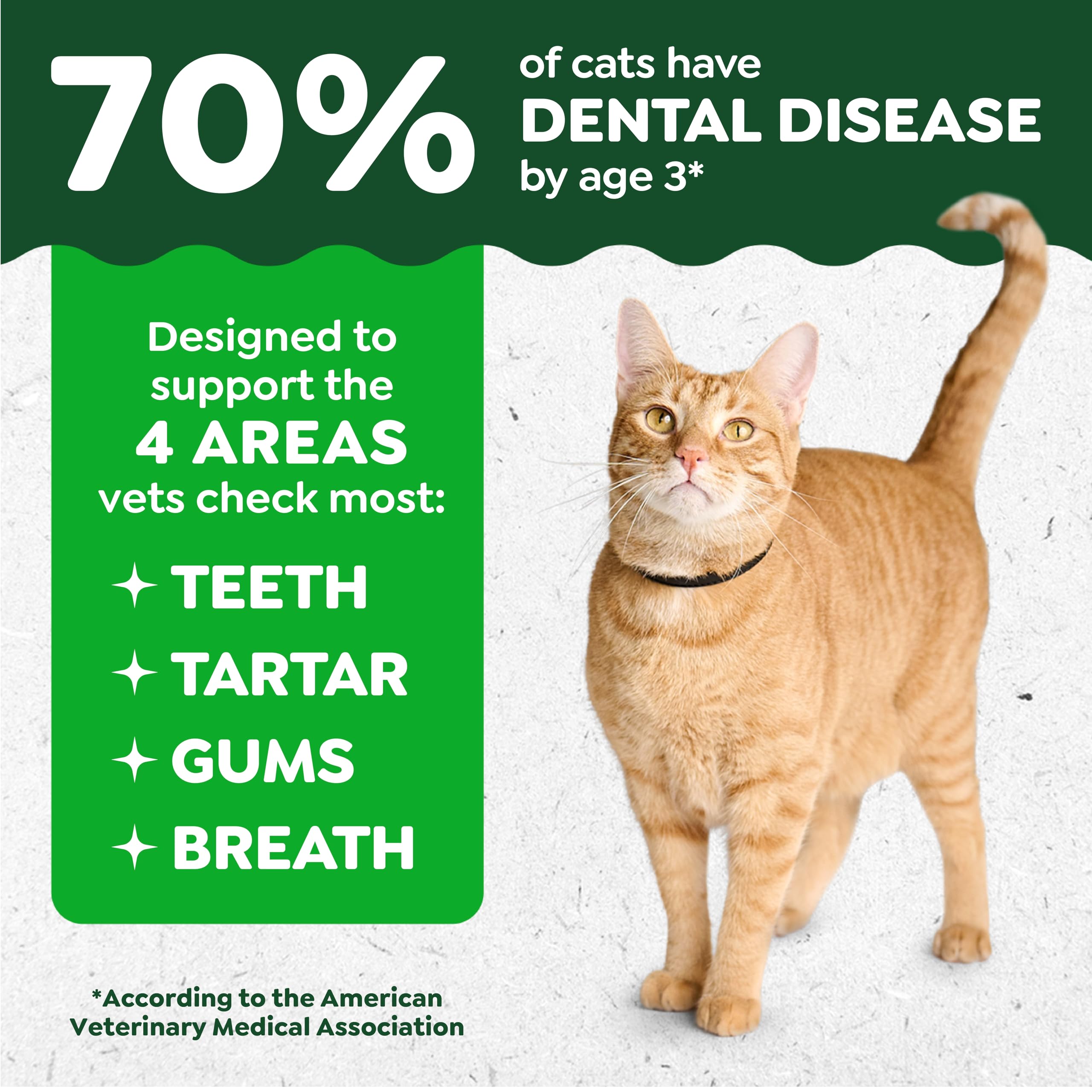 Greenies Cat Treats, Feline Veterinarian-Recommended Adult Natural Dental Treats, Catnip Flavor, 2.1 oz. Pouch