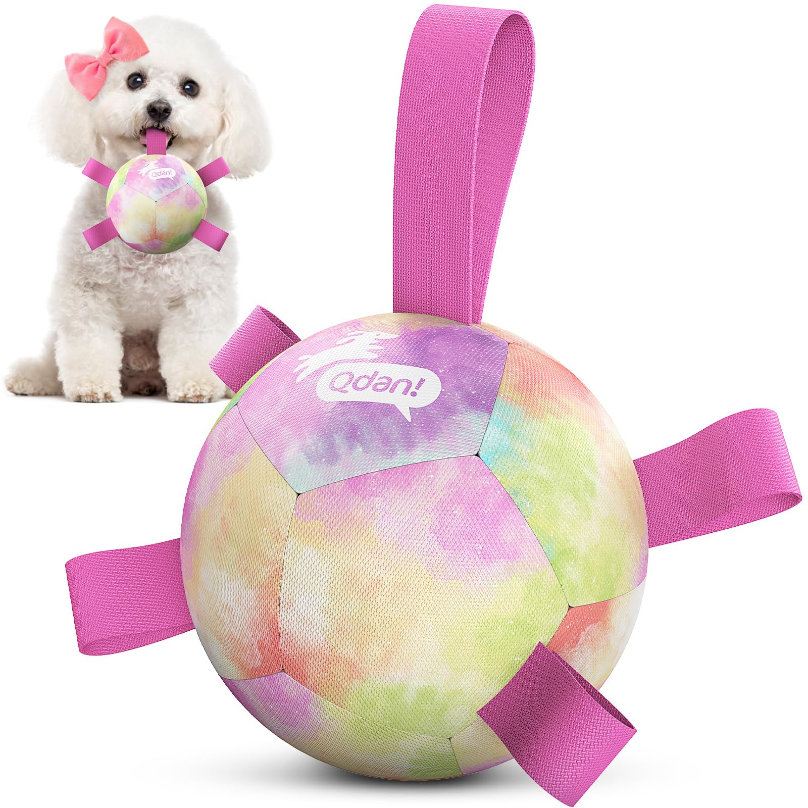 QDAN Dog Toys Soccer Ball with Straps, Durable Dog Balls for Tug of War, Puppy Birthday Gifts, Dogs Water Toy Small Dogs-Rainbow（5 Inch）