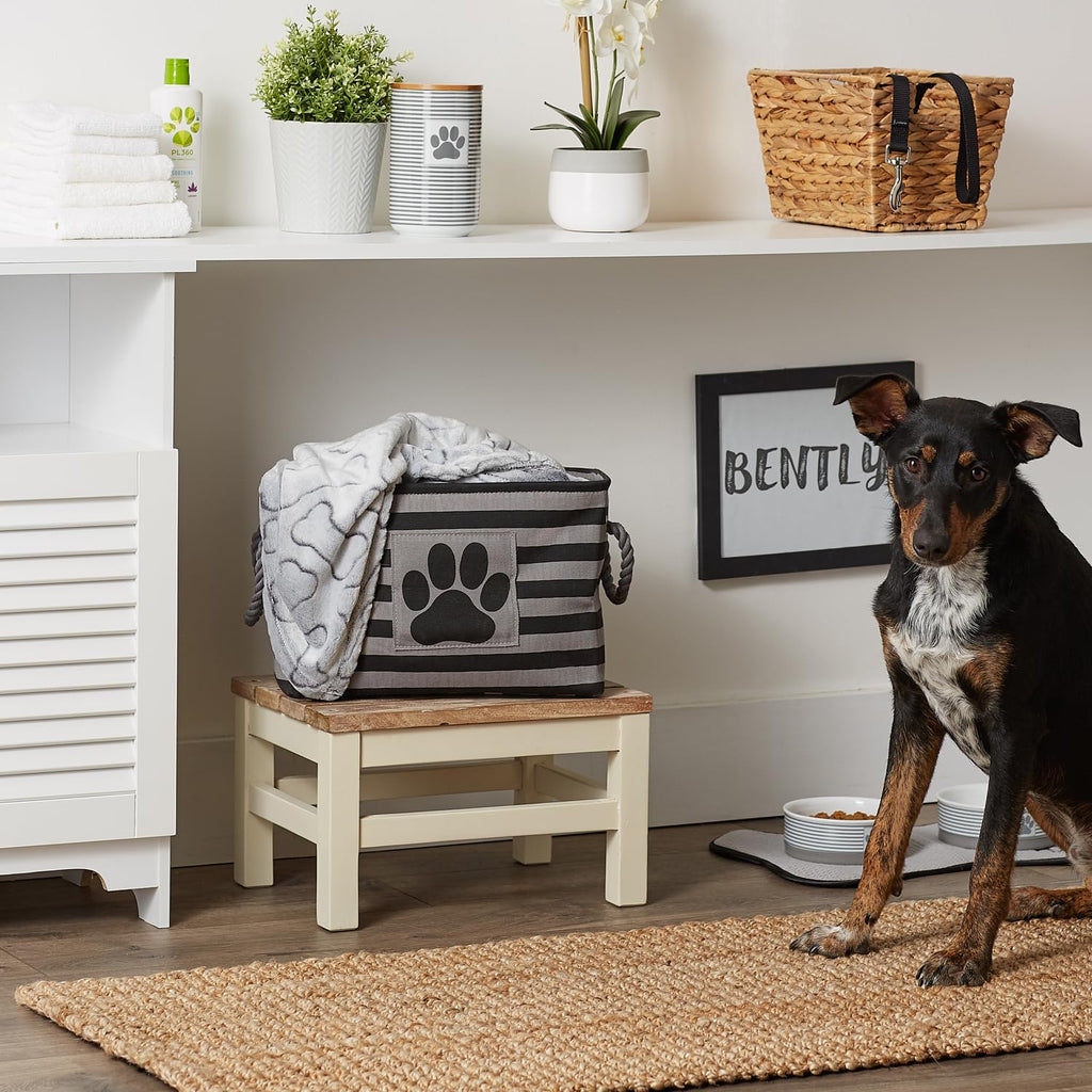 Bone Dry Pet Storage Collection Striped Paw Patch Bin, Aqua, Small Rectangle