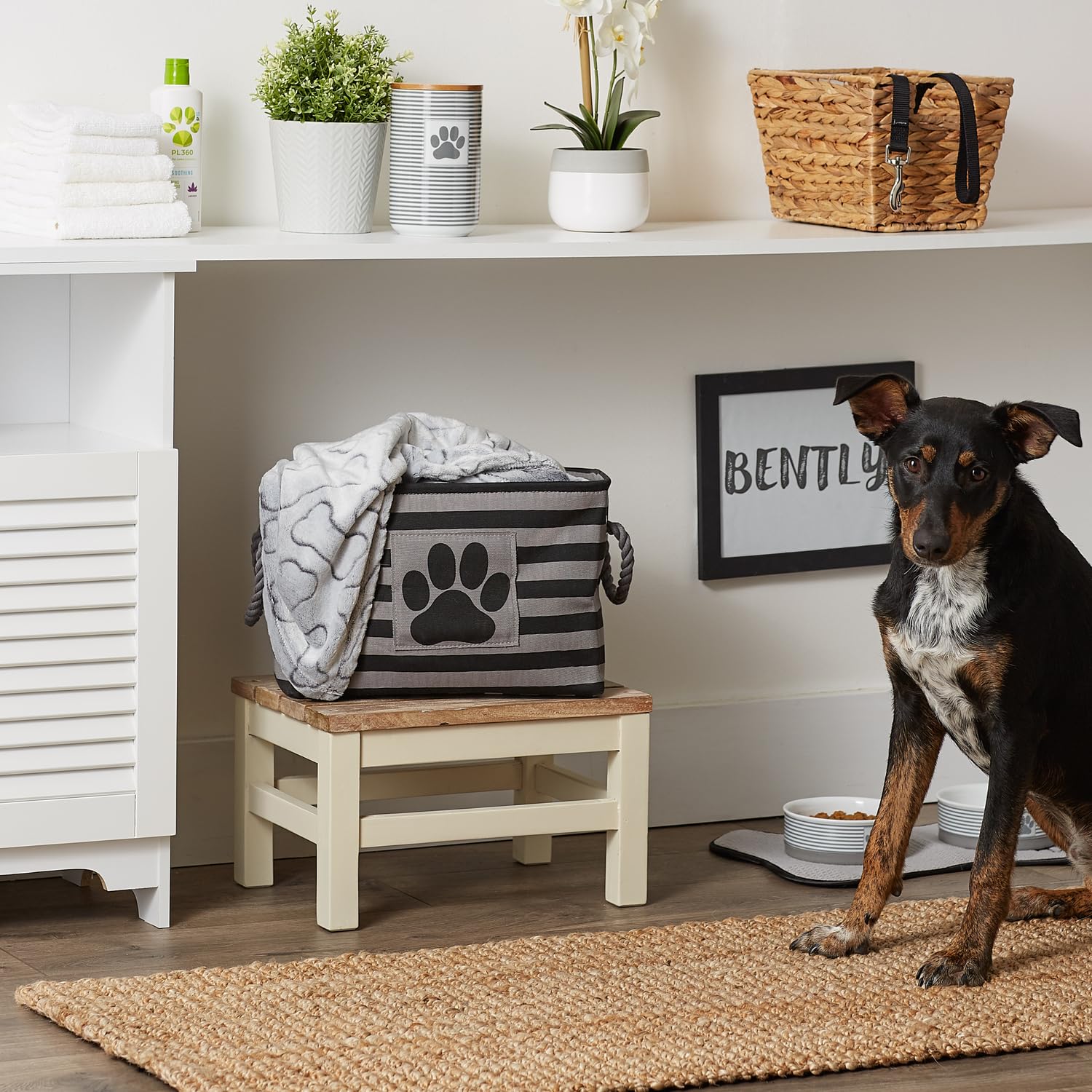 Bone Dry Pet Storage Collection Striped Paw Patch Bin, Aqua, Small Rectangle