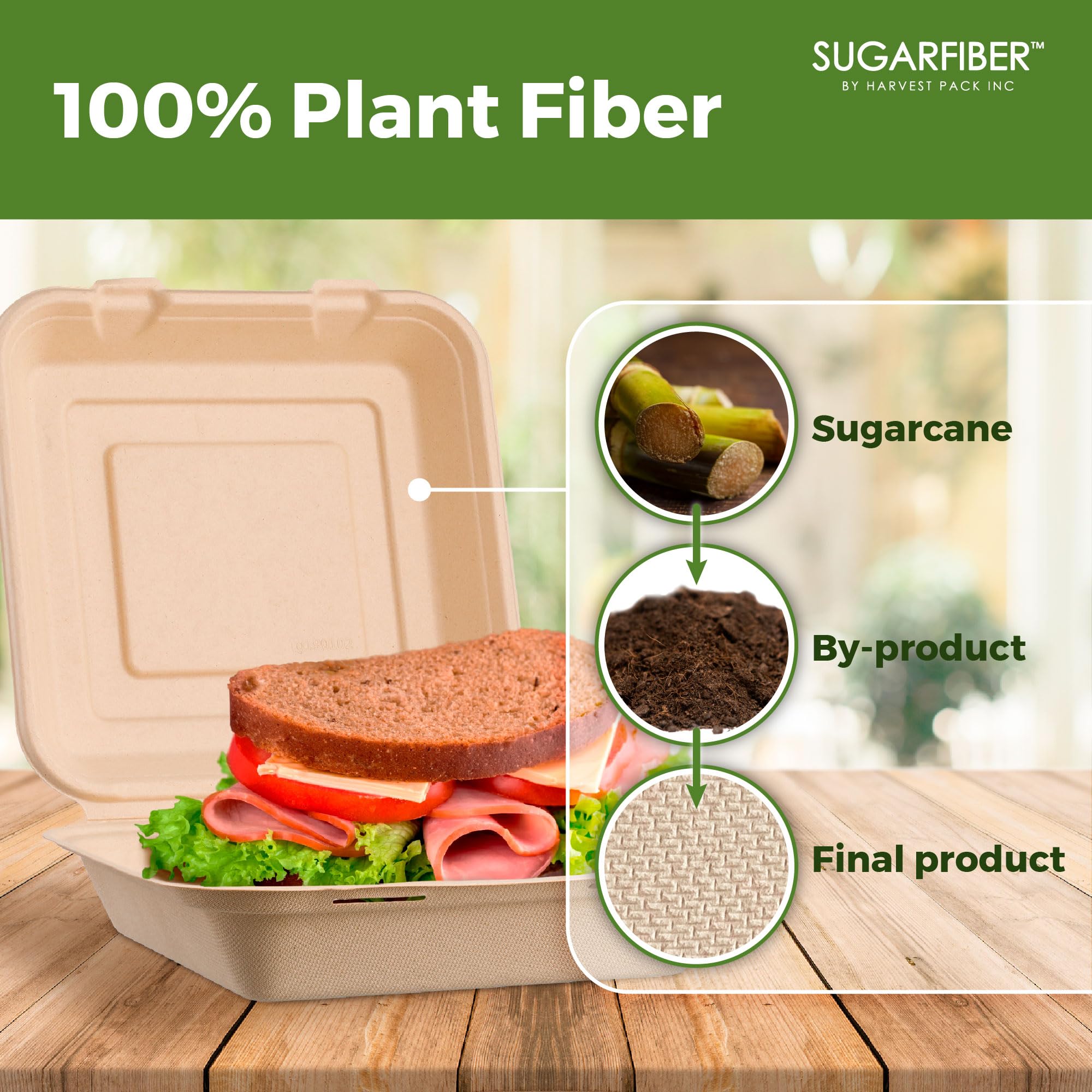 [50 COUNT]Harvest Pack 6 X 6" Compostable Clamshell Take Out Food Containers, PFAS FREE Square To go Containers with Lids, Heavy-Duty Disposable Bagasse Bento Cake Box, Eco-Friendly Sugarcane Fibers