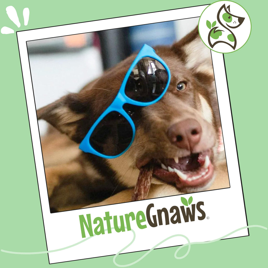 Nature Gnaws Beef Gullet Chews for Small Dogs 4-5" (20 Count) - Natural Beef Jerky Stick Dog Chew Treats - Rawhide Free