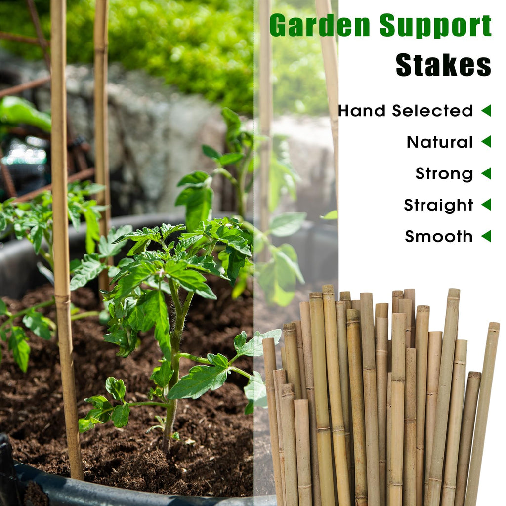 Plant Bamboo Post,3Feet,Bamboo Garden Stakes,50PcsBamboo Stakes,for Tomato,Beans,Vegetable and Flowers, Potted Plants,Indoor and Outdoor Climbing Plants