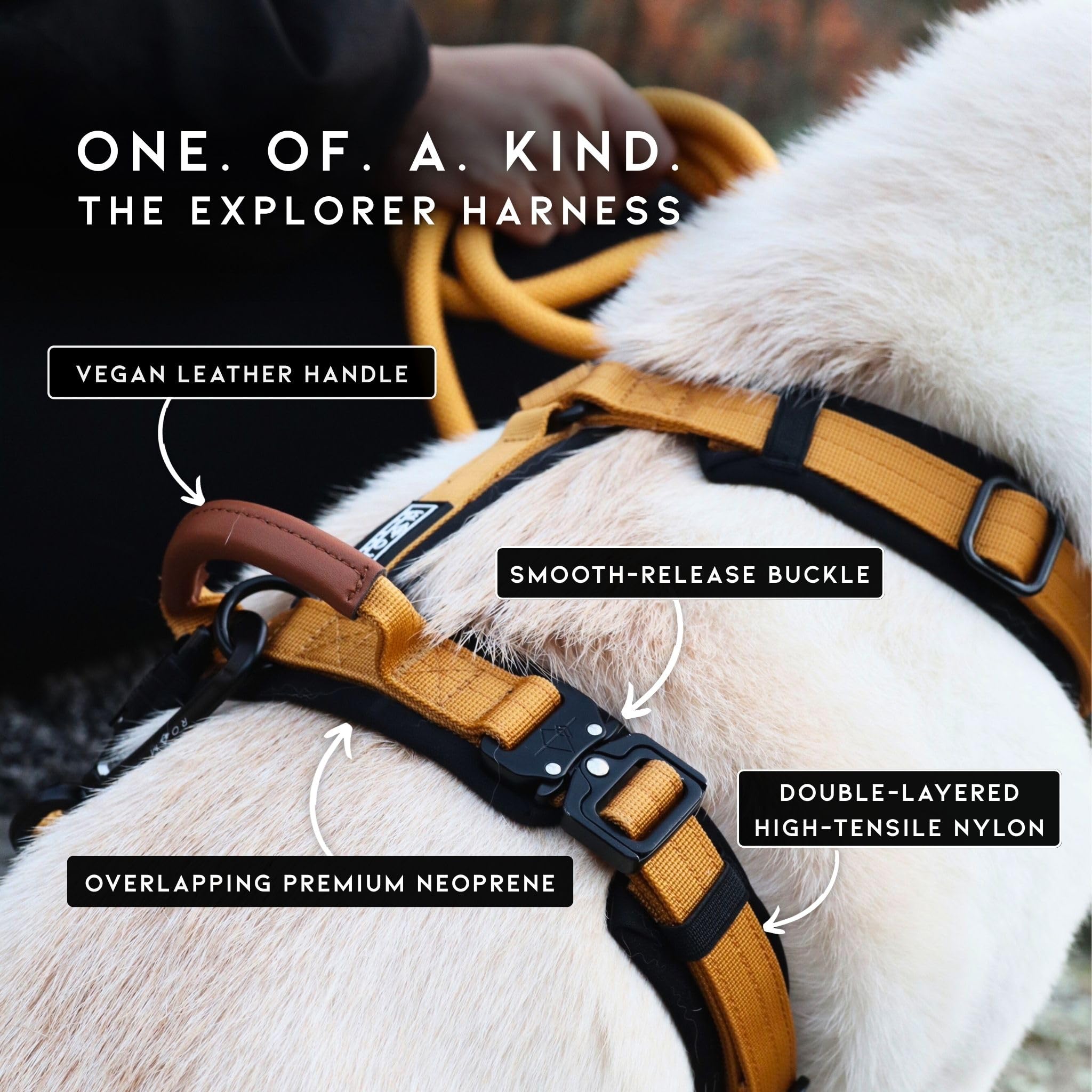 MADE TO ROAM Premium Explorer Harness - Y-Shaped Dog Harness with Adjustable Durable Nylon, Soft Padding, Metal Buckles and Leather Handle for Small, Medium, Large Dogs (Alaska Daybreak, Size 1)