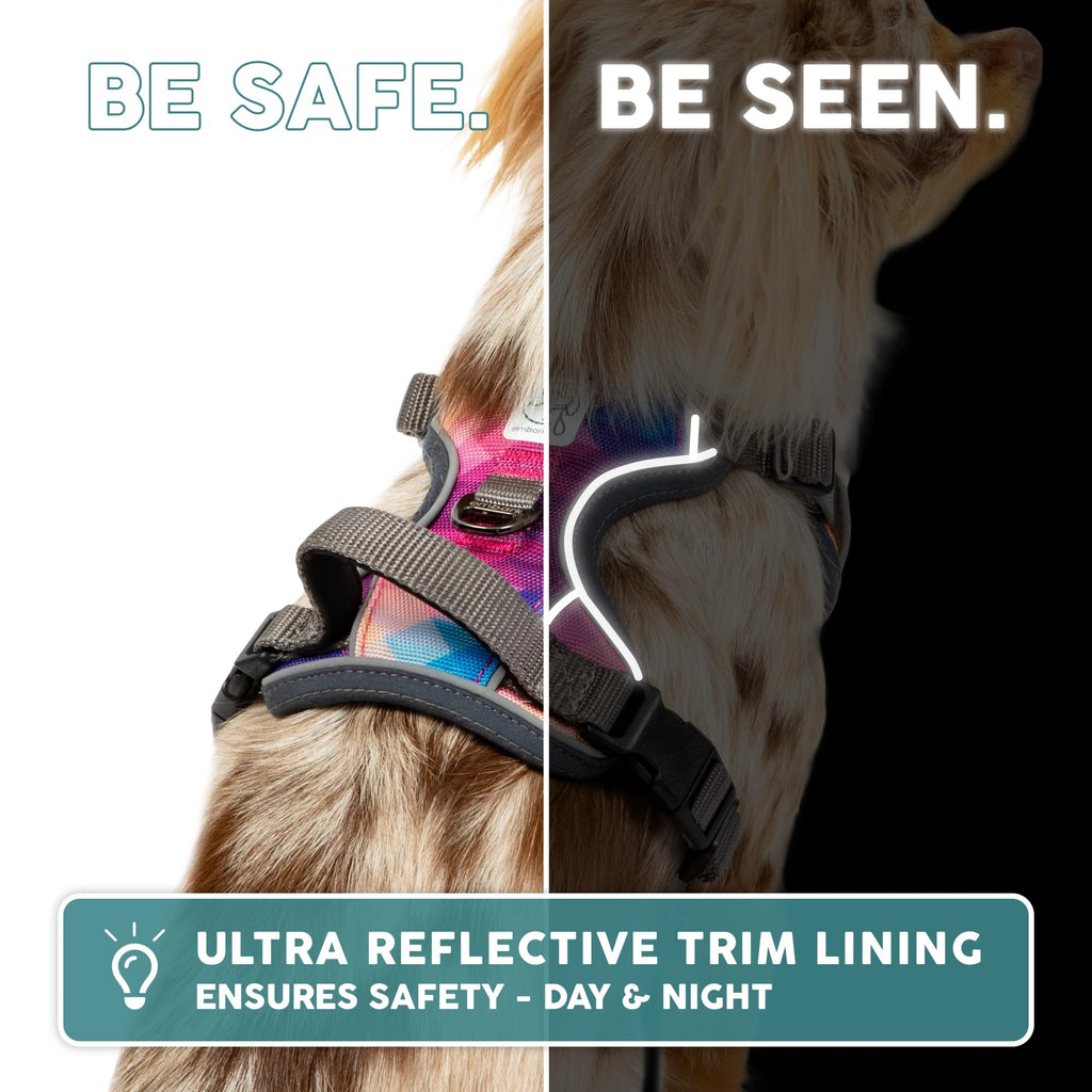 Embark Adventure Dog Harness for Small, Medium & Large Dogs – No Pull, Reflective Trim, Heavy Duty Oxford, 2 Leash Clips, Gel-Lined Handle, Soft Padded