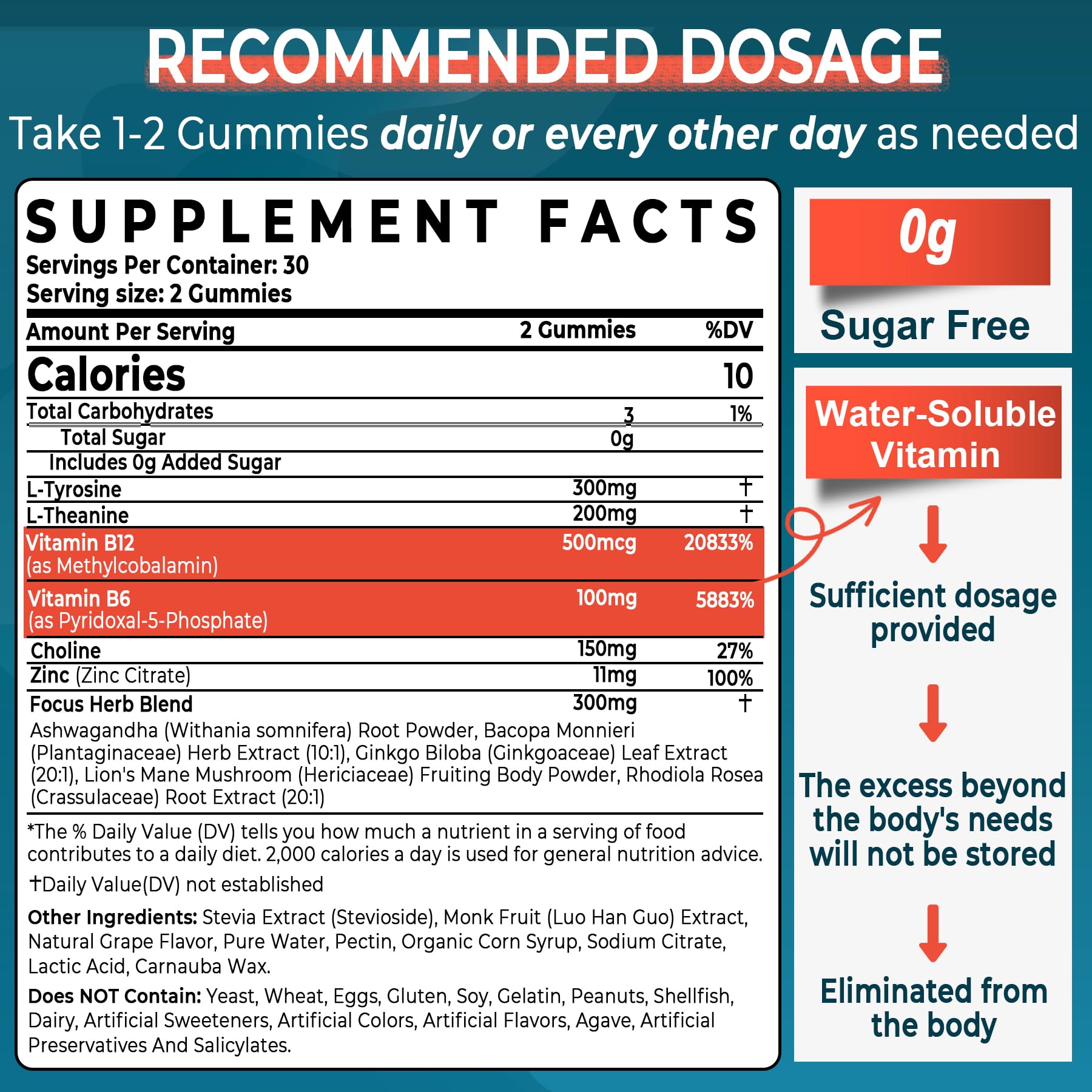 Sugar Free L-Tyrosine Gummies 300mg L-Theanine 200mg Vitamin B6 100mg & B12 500mcg, Brain Health Herbs 300mg w/Ginkgo Biloba, Rhodiola Rosea, Lion's Mane Mushroom for Sustained Focus & Energy, 1Pack