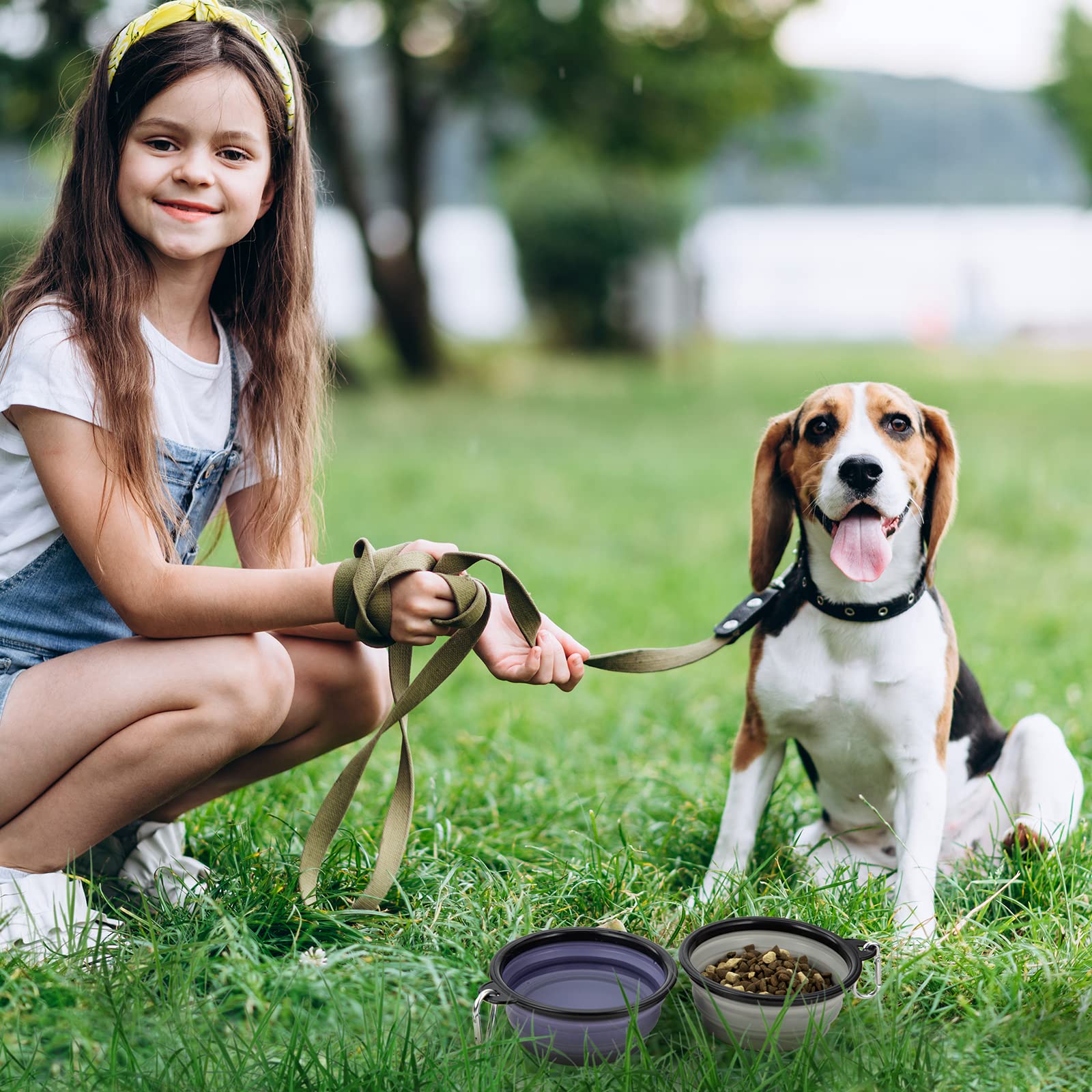 Dog Bowl Pet Collapsible Bowls, 2 Pack Collapsible Dog Water Bowls for Cats Dogs, Portable Pet Feeding Watering Dish for Walking Parking Traveling with 2 Carabiners (Small, Black & Pink)