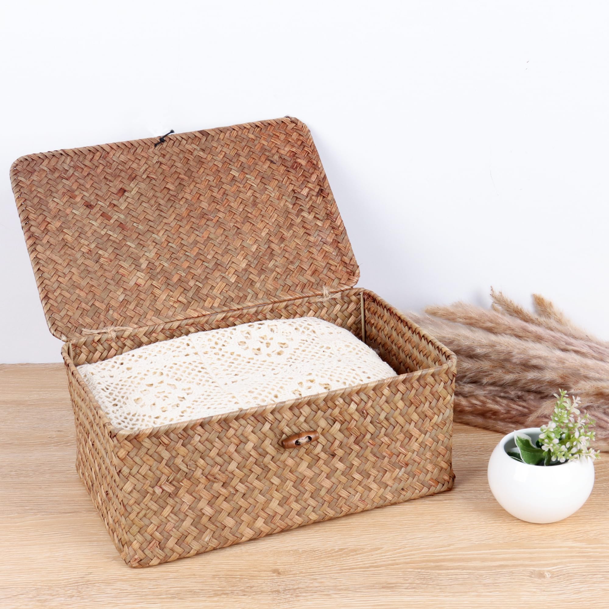 FEIALNDUO Wicker Shelf Baskets with Lid,Seagrass Storage Basket Bins Rectangular Handwoven Basket Boxes for Shelves Desktop Home Organizer (Coffee, X-Small)