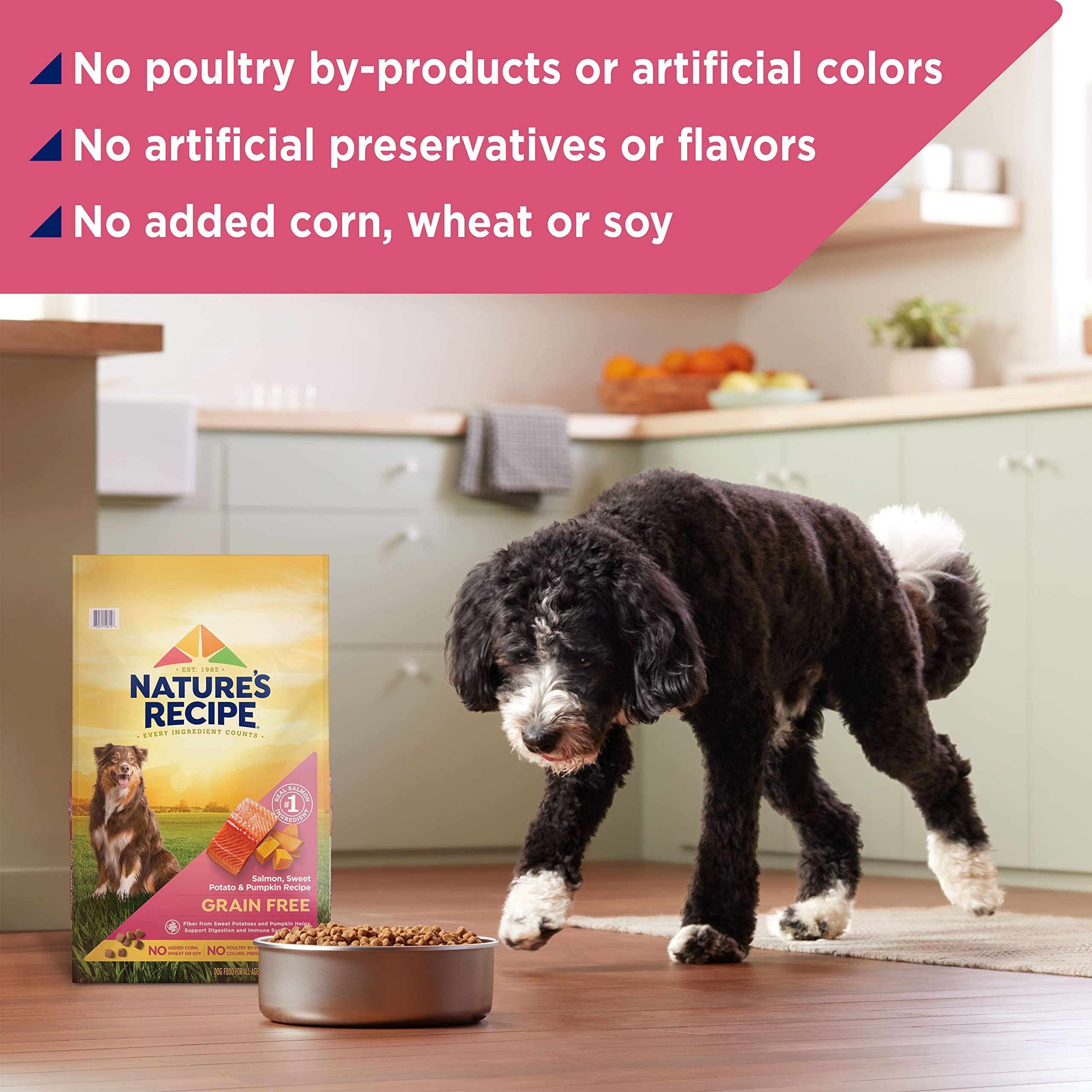 Nature's Recipe Grain Free Dry Dog Food, Salmon, Sweet Potato & Pumpkin Recipe, 4 lb. Bag