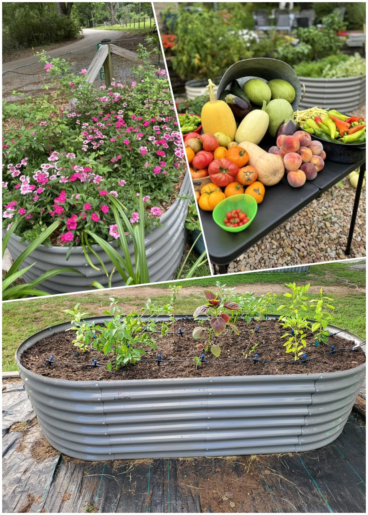 A ANLEOLIFE 2-Pack 3ft x 24” Tall Galvanized Raised Garden Beds Outdoor, Round Metal Planter Box for Planting Vegetables Flowers Herb, Anti-Rust & Easy-Setup, Quartz Grey