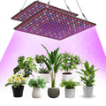 2 Pack LED Grow Light Panel 200W Lamp for Indoor Plants, Full Spectrum with White Blue Red UV IR LEDs for 4x4ft Coverage Grow Tent Greenhouse Veg and Bloom Seedlings Hydroponics