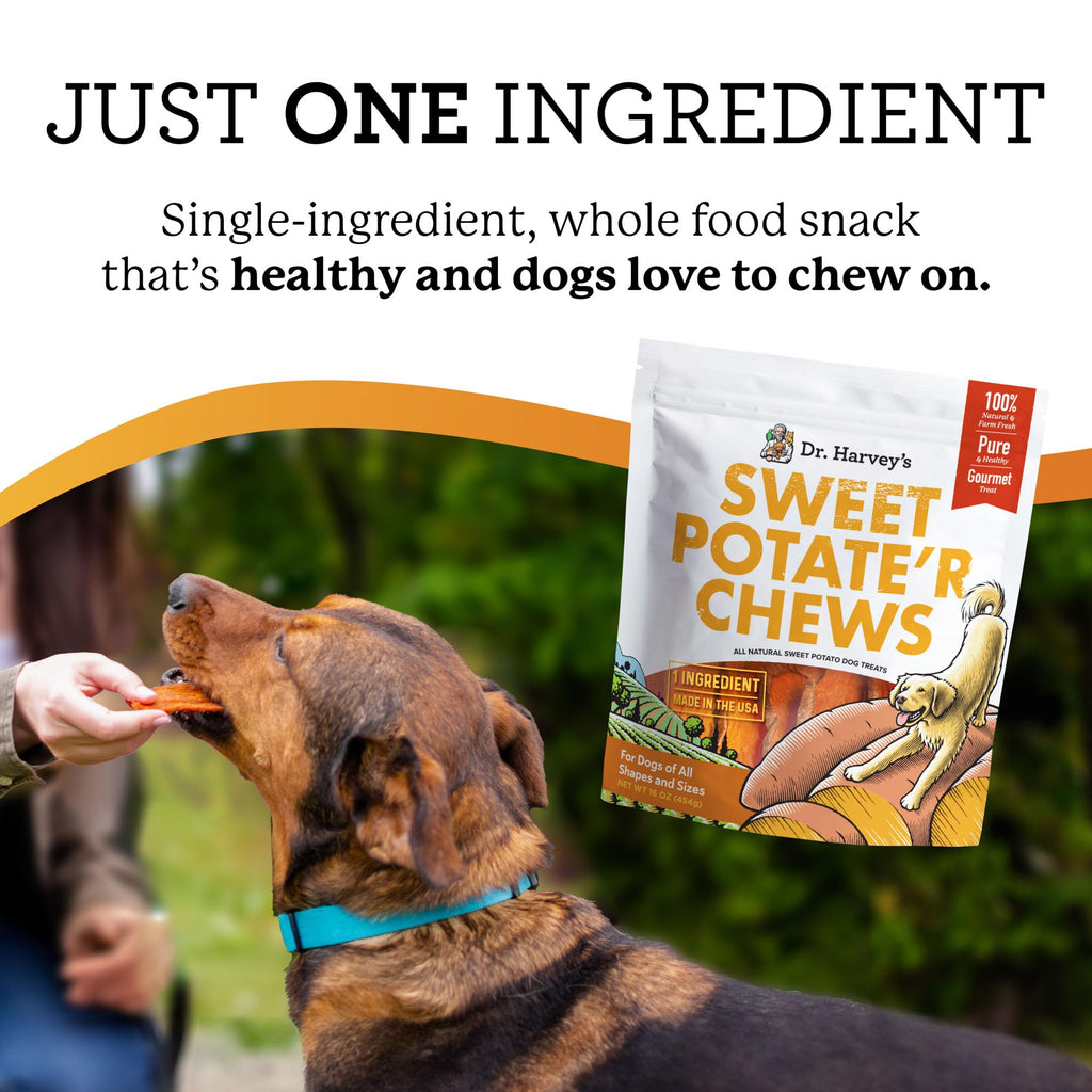 Dr. Harvey's Sweet Potato Chews for Dogs, Dog Treats for Small, Medium, Large Dogs, Natural Dog Snacks for Training, Healthy Teeth, Preventing Bad Breath, and Aggressive Chewers, USA Grown (1 Pound)