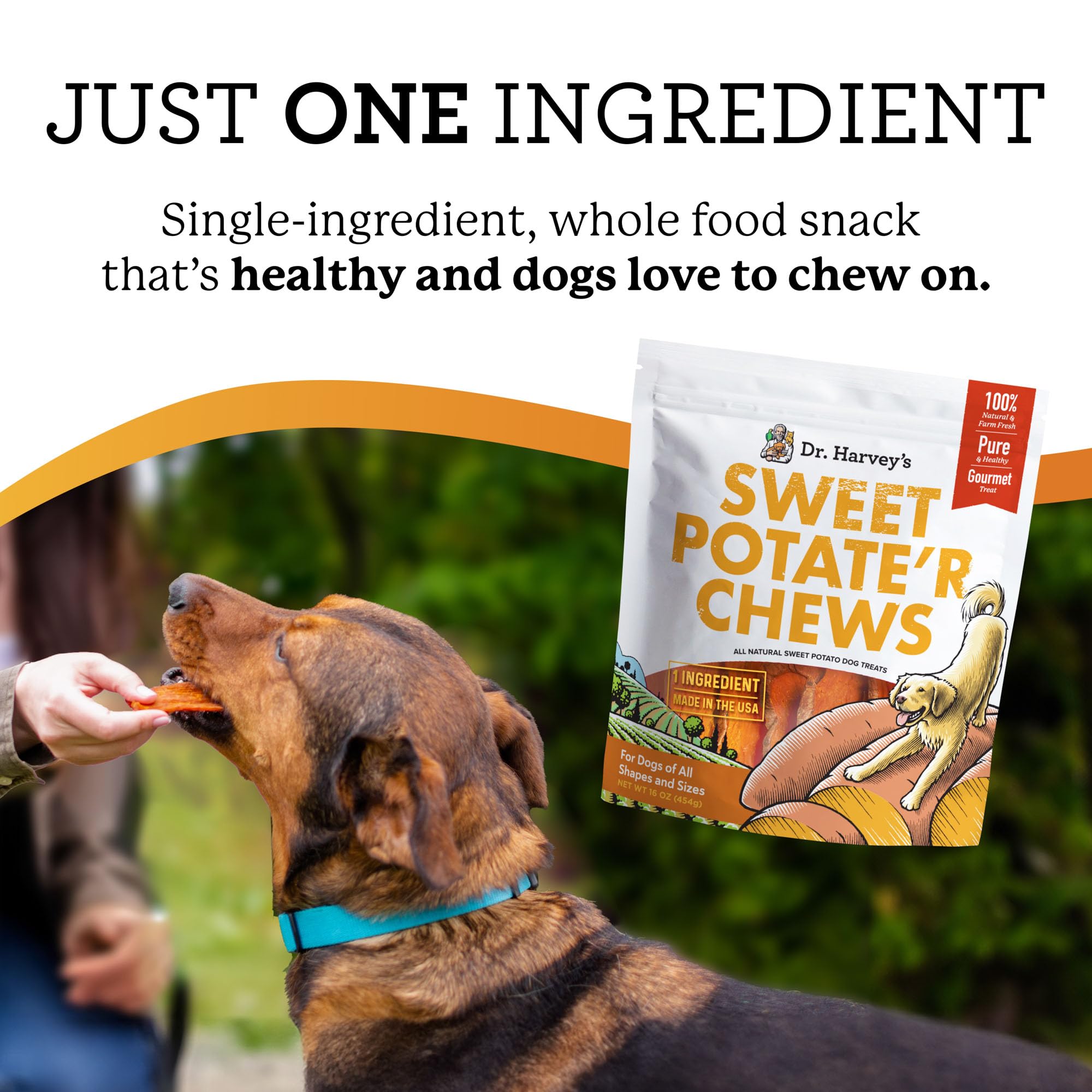 Dr. Harvey's Sweet Potato Chews for Dogs, Dog Treats for Small, Medium, Large Dogs, Natural Dog Snacks for Training, Healthy Teeth, Preventing Bad Breath, and Aggressive Chewers, USA Grown (1 Pound)