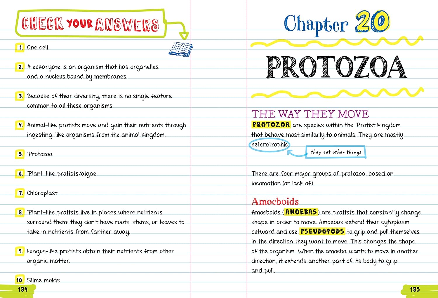 Everything You Need to Ace Biology in One Big Fat Notebook
