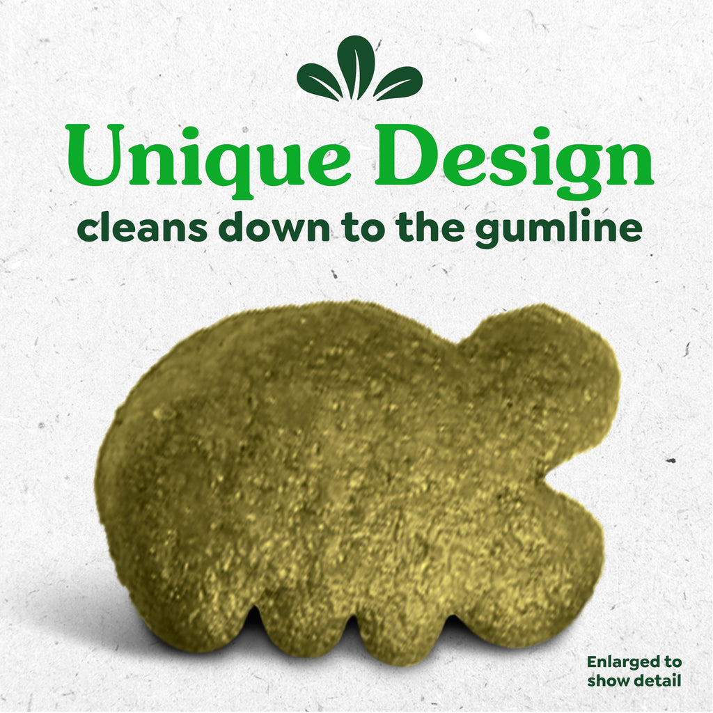 Greenies Cat Treats, Feline Veterinarian-Recommended Adult Natural Dental Treats, Catnip Flavor, 2.1 oz. Pouch