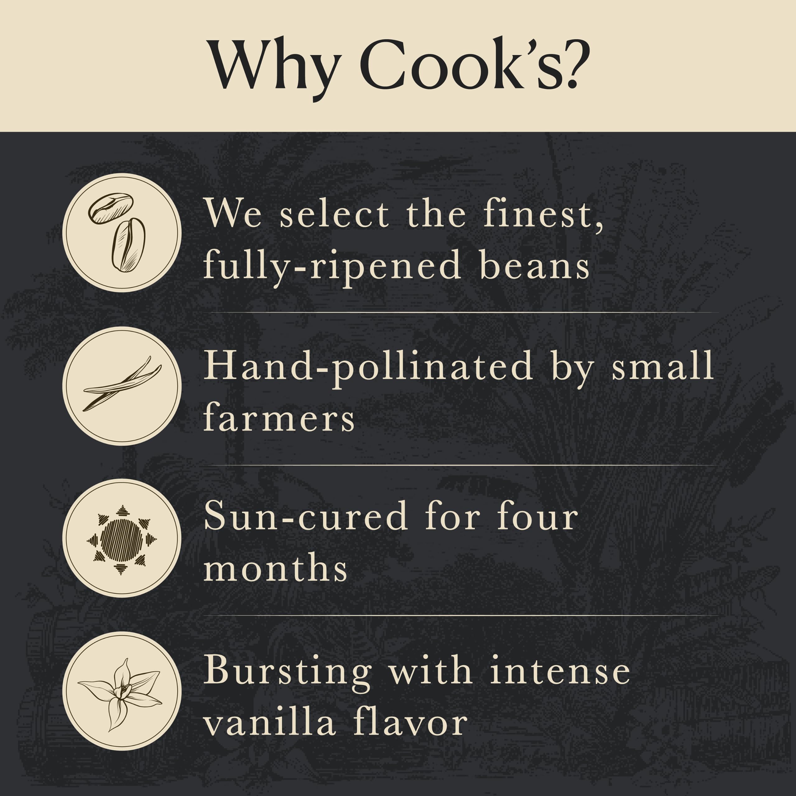 Cook's, Natural Vanilla Bean Paste, Gourmet Grade A Madagascar Premium Vanilla Made with Fresh Vanilla Beans for Baking and Cooking, 16 oz