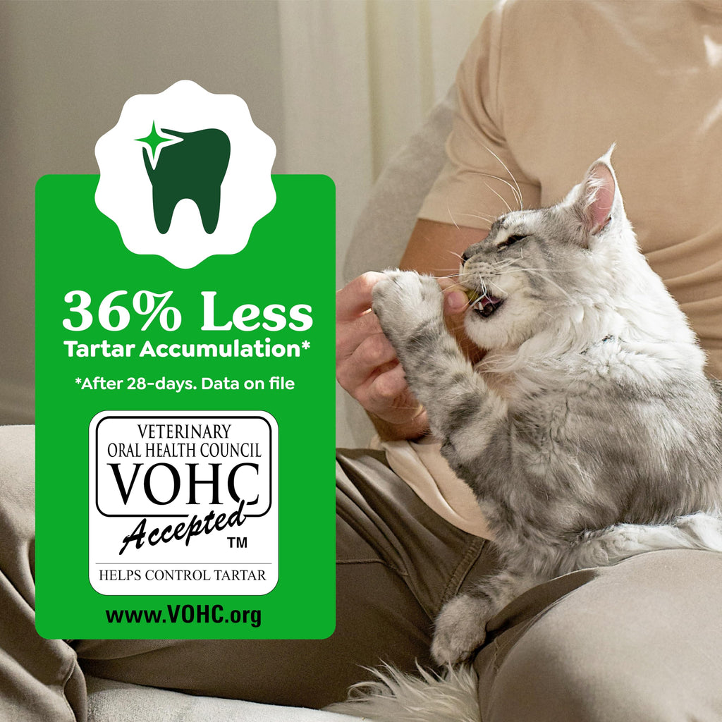 Greenies Cat Treats, Feline Veterinarian-Recommended Adult Natural Dental Treats, Catnip Flavor, 2.1 oz. Pouch