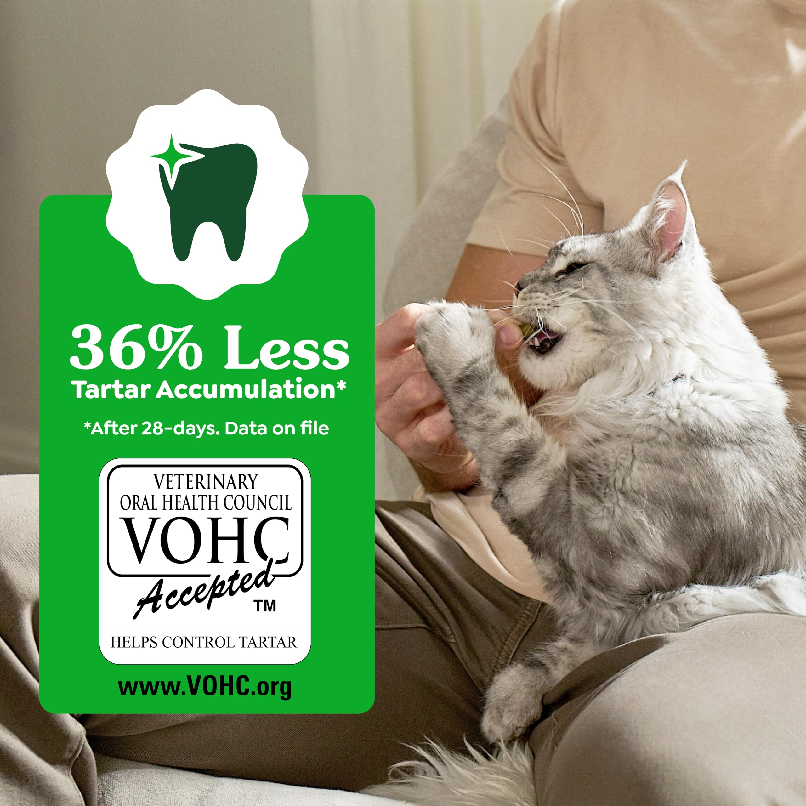 Greenies Cat Treats, Feline Veterinarian-Recommended Adult Natural Dental Treats, Catnip Flavor, 2.1 oz. Pouch