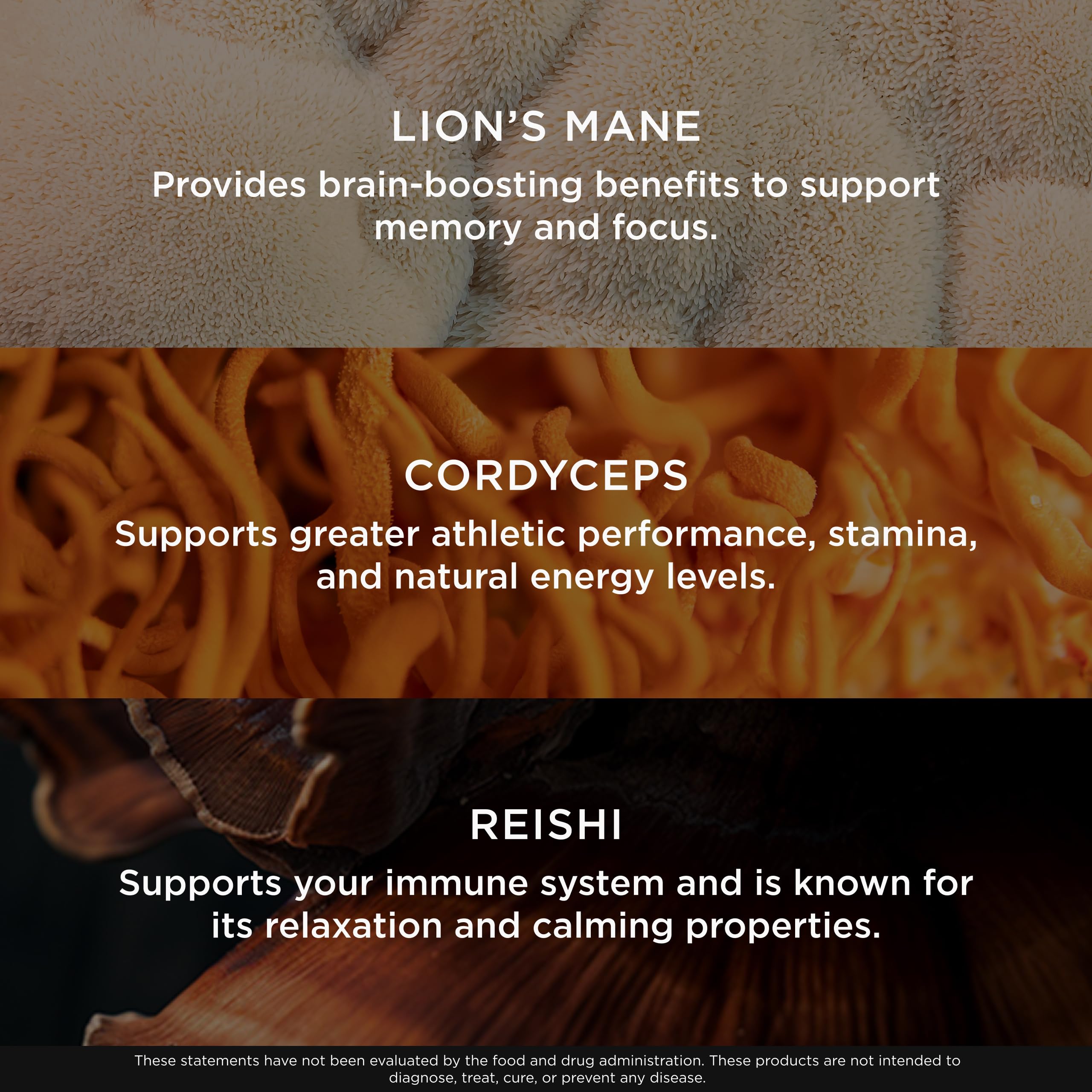 The Genius Brand Genius Mushrooms - Plant-Based Supplement for Immune, Focus & Energy Support - Lion's Mane, Cordyceps & Reishi - Organic & Non-GMO - 90 Veggie Capsules