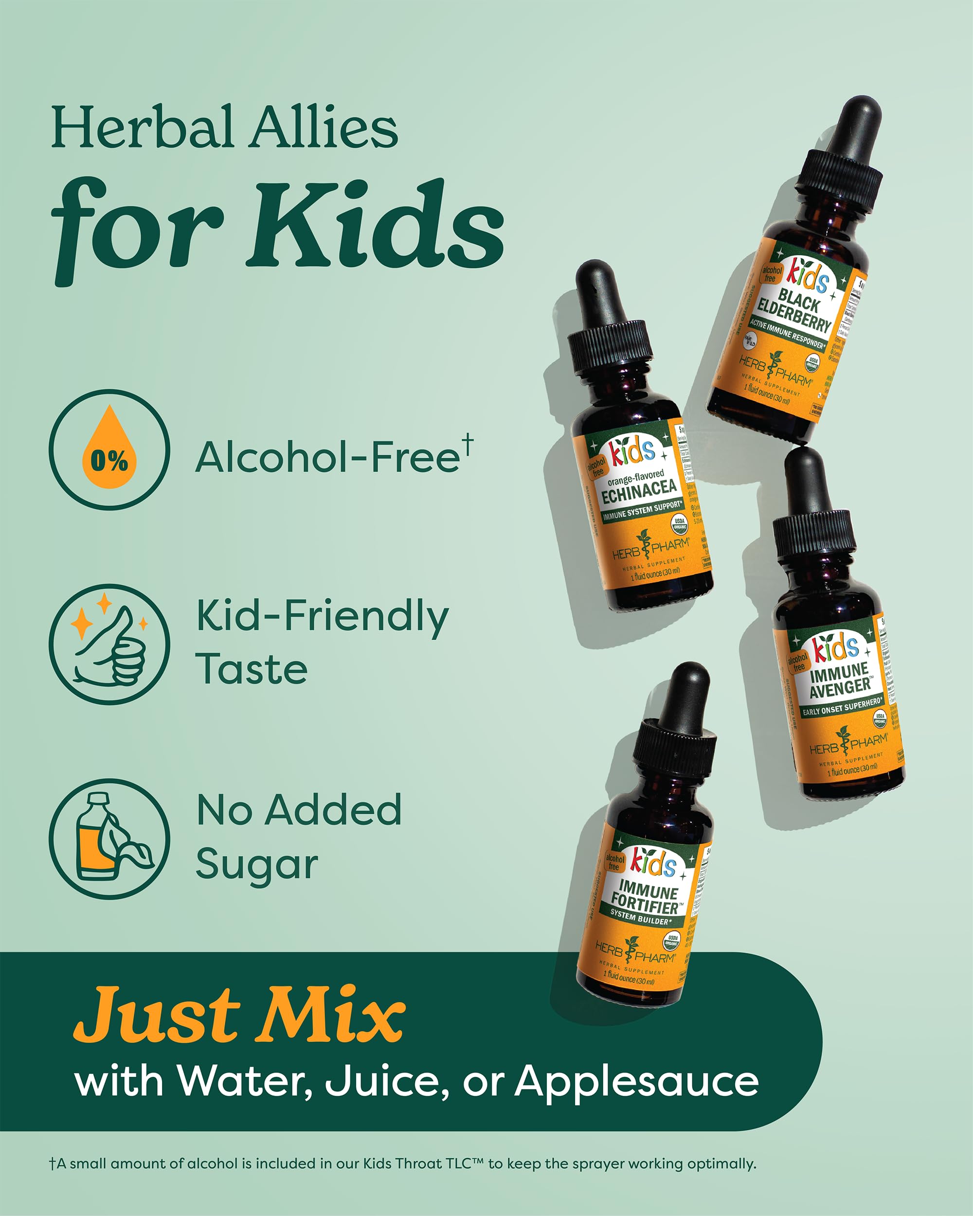 Herb Pharm Kids Echinacea Extract Alcohol-Free Certified Organic Liquid Herbal Supplement for Kids, Immune Support Drops for Toddlers & Children, Non-GMO, Vegan, Echinacea Purpurea Root, 1 fl oz