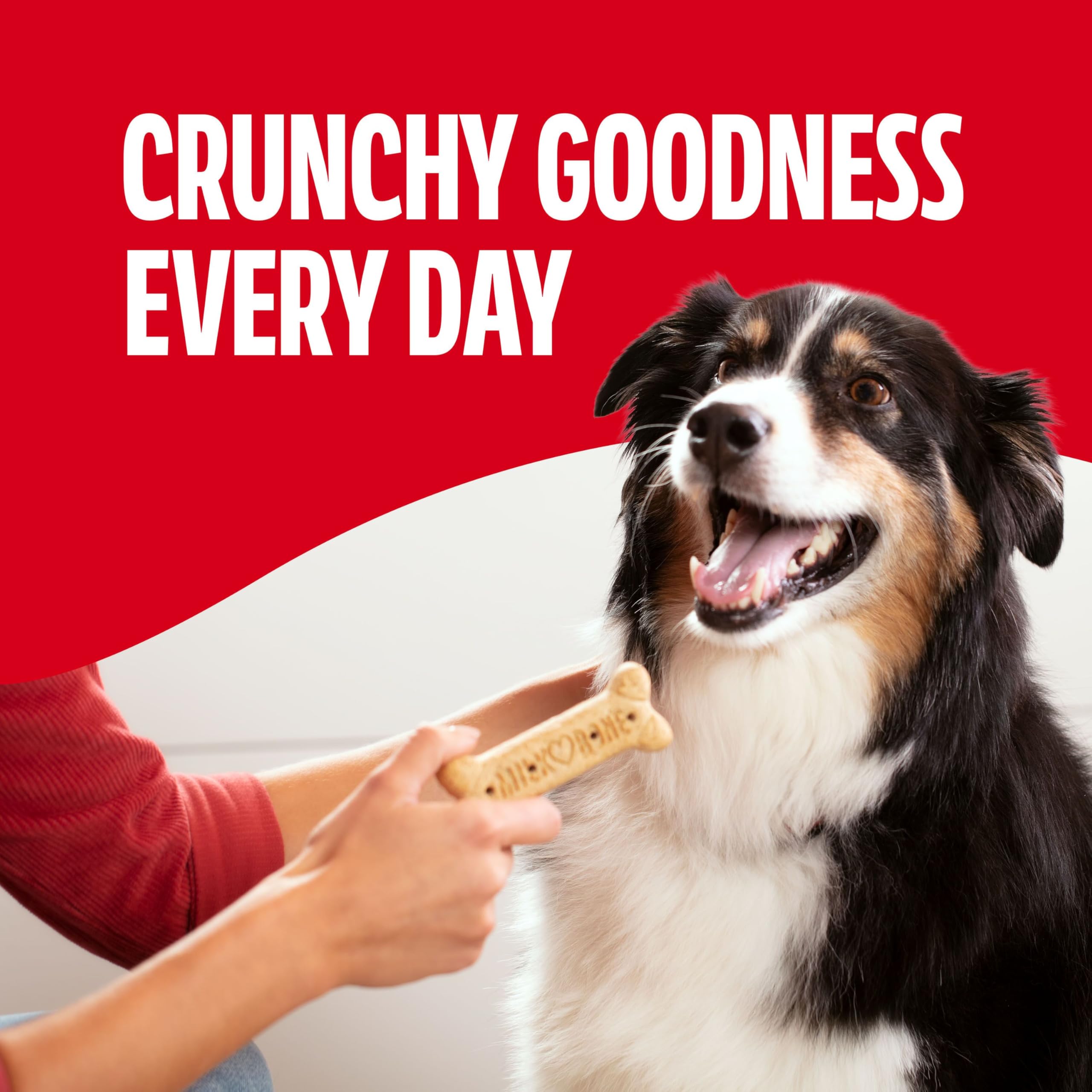 Milk-Bone Crunchy Small Dog Treats, 24 Oz. Boxes, Original Beef Flavor (Pack of 12)