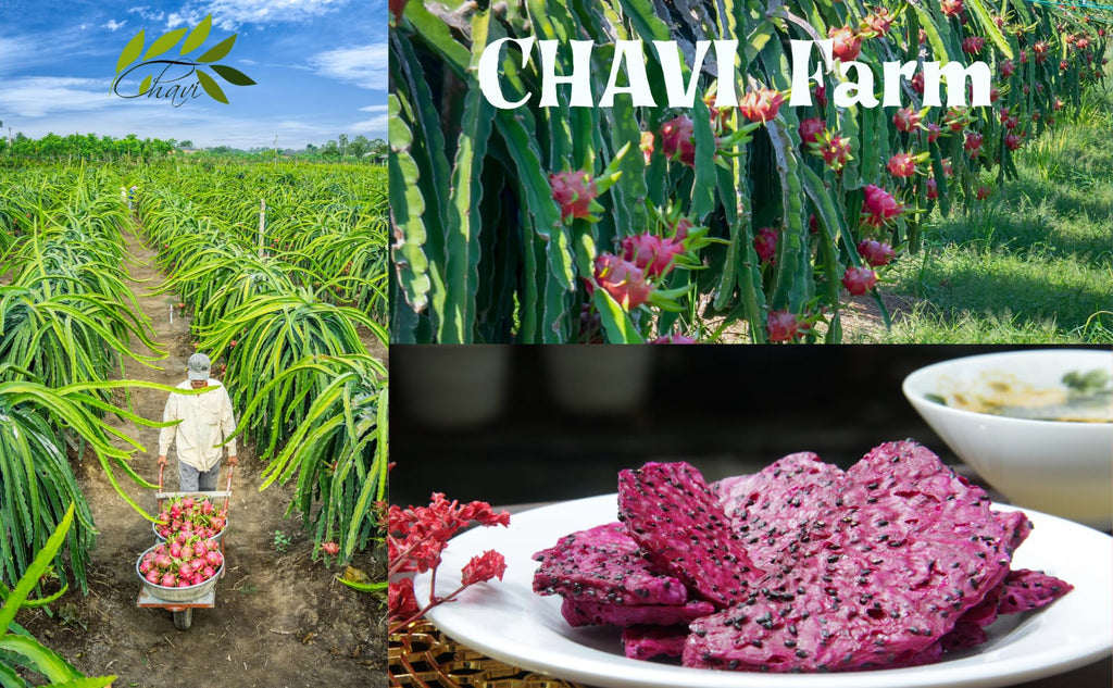 CHAVI Freeze Dried Fruits - Mixed | 6 in 1 | No Added Sugars or Preservatives - Non-GMO, Vegan, Gluten-Free | Gift Box | 230 g | 8.1 oz | 6 Cans