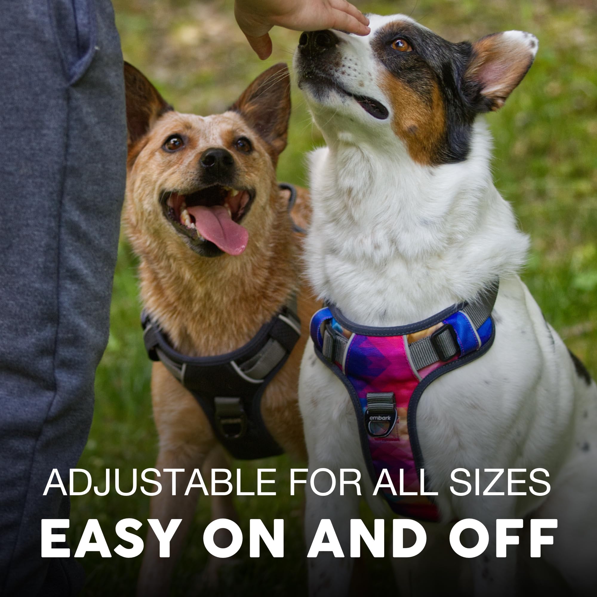 Embark Adventure Dog Harness for Small, Medium & Large Dogs – No Pull, Reflective Trim, Heavy Duty Oxford, 2 Leash Clips, Gel-Lined Handle, Soft Padded