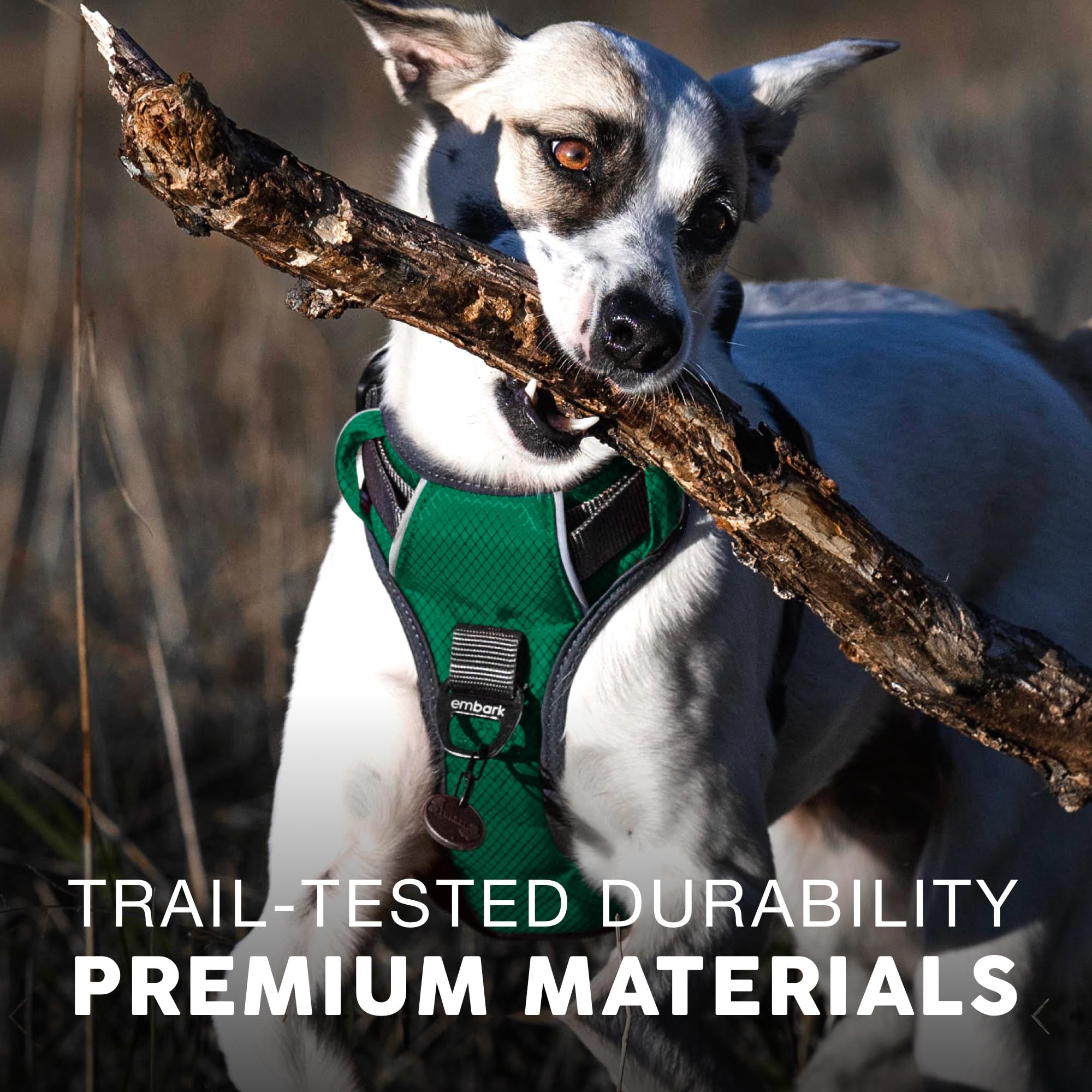Embark Adventure Dog Harness for Small, Medium & Large Dogs – No Pull, Reflective Trim, Heavy Duty Oxford, 2 Leash Clips, Gel-Lined Handle, Soft Padded