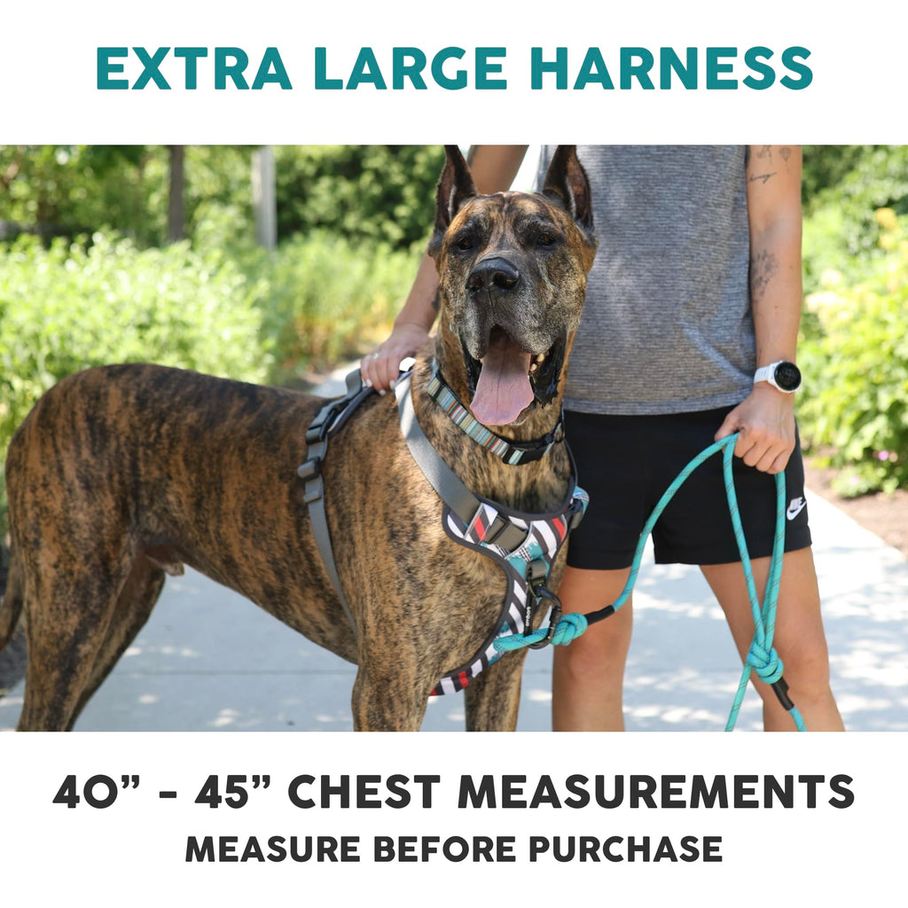 Embark Adventure Dog Harness for Small, Medium & Large Dogs – No Pull, Reflective Trim, Heavy Duty Oxford, 2 Leash Clips, Gel-Lined Handle, Soft Padded