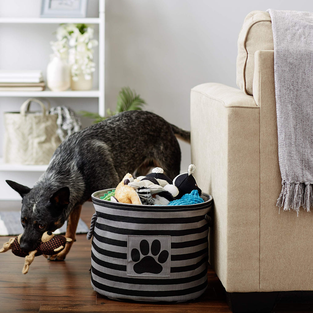 Bone Dry Pet Storage Collection Striped Paw Patch Bin, Aqua, Small Rectangle